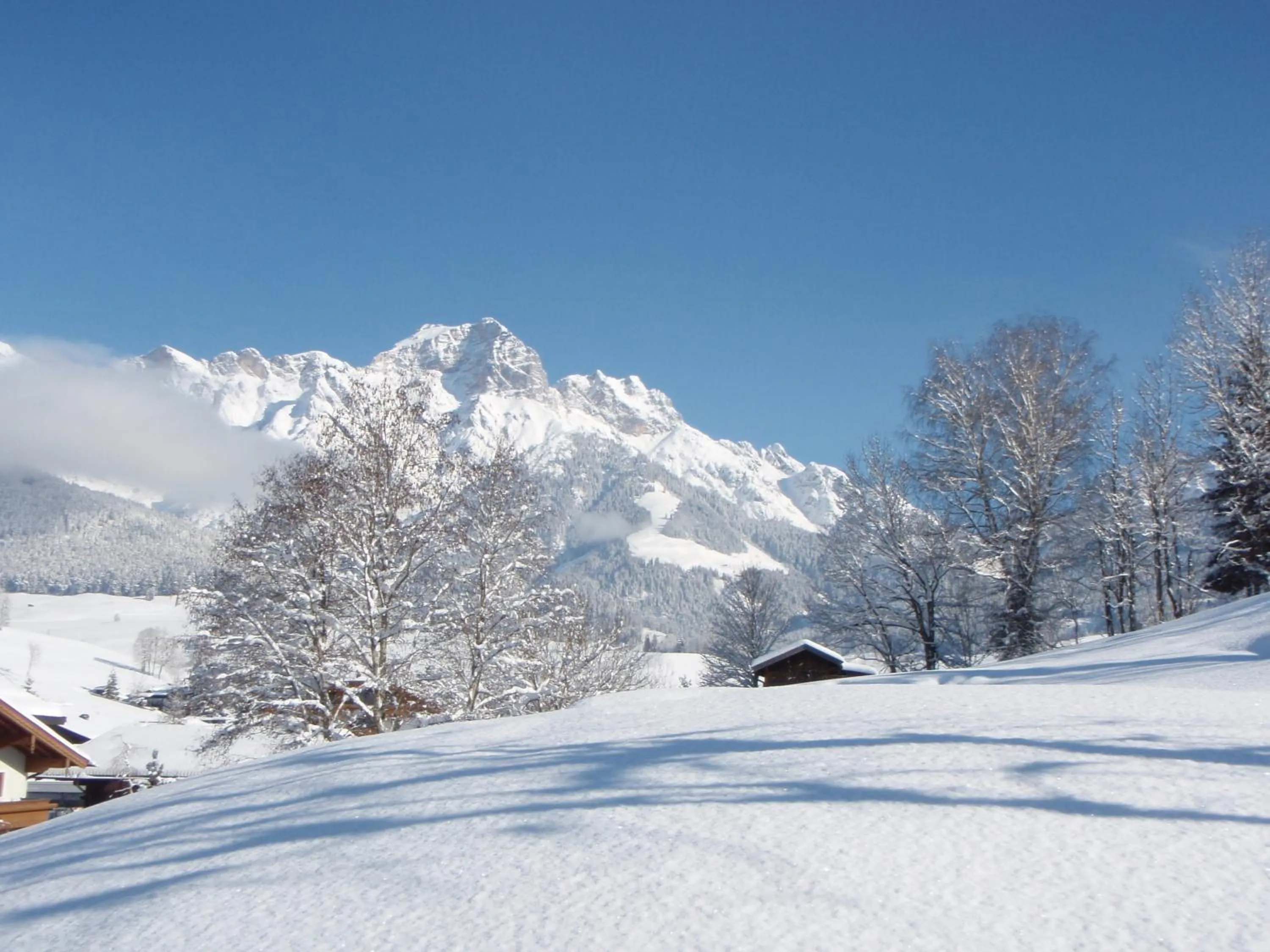 Area and facilities in Pension Pinzgauer Hof