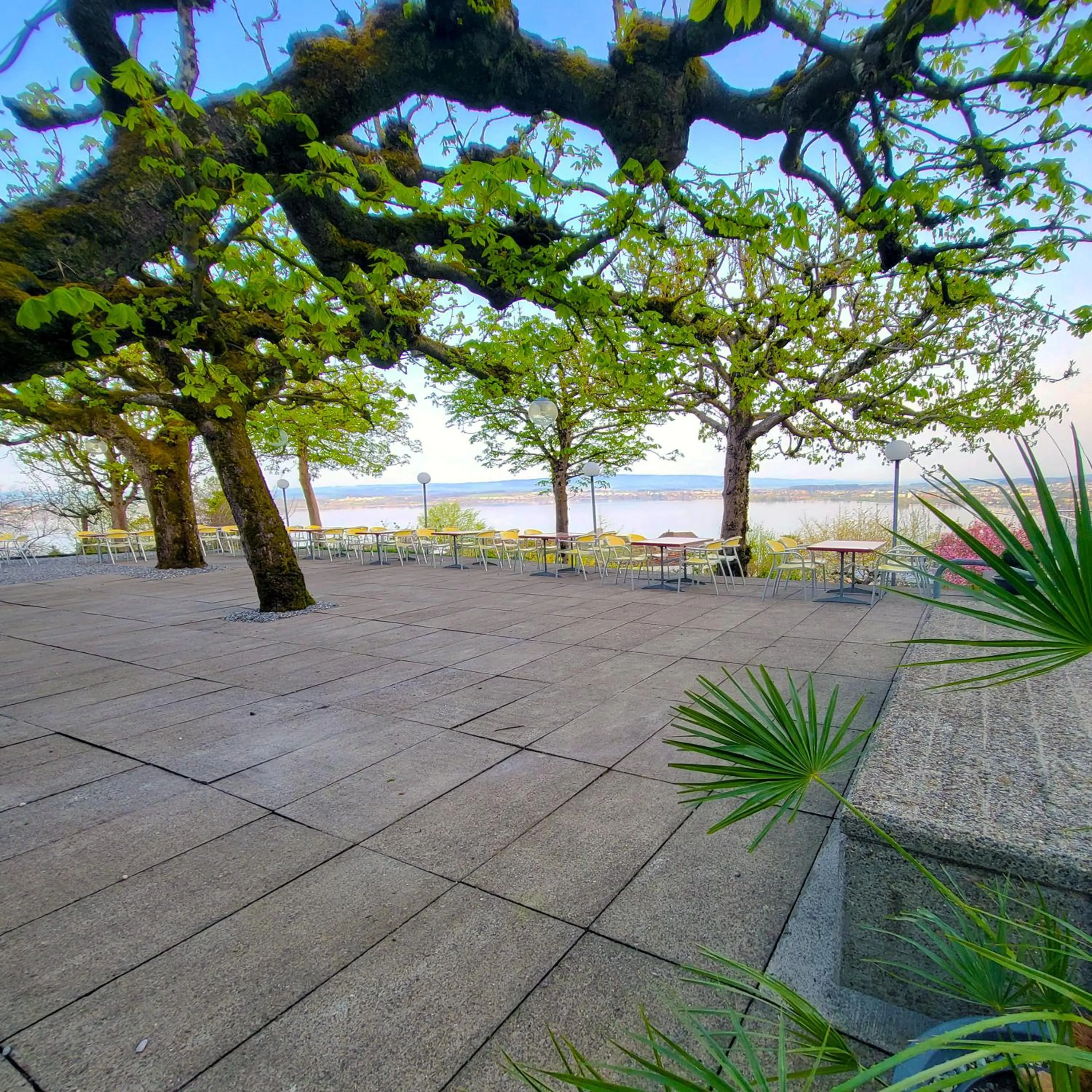 Spring in Guggital Hotel Restaurant