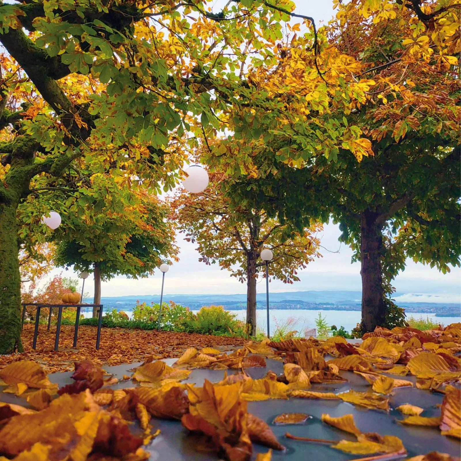 Natural landscape in Guggital Hotel Restaurant