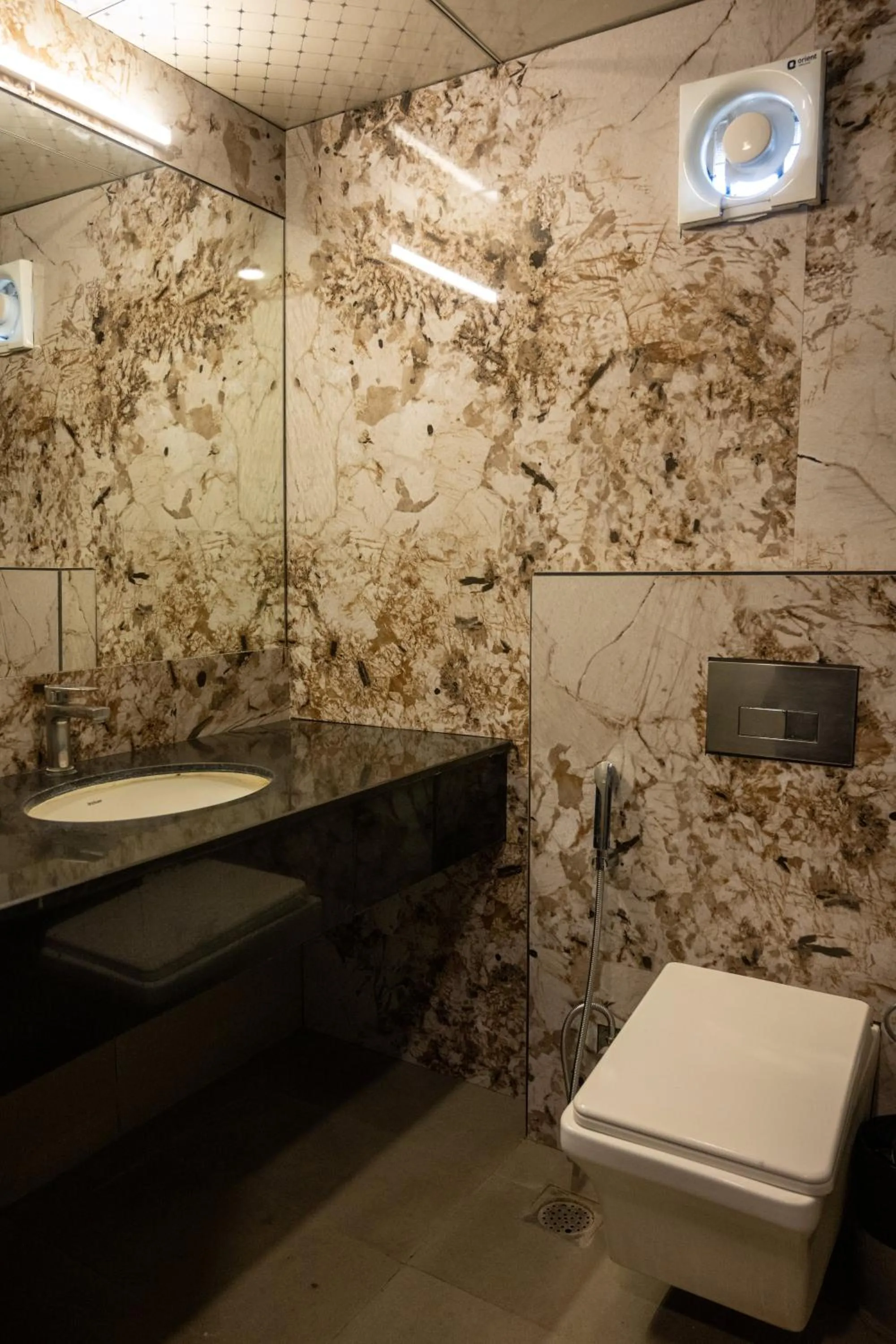 Shower in Hotel Asrani International