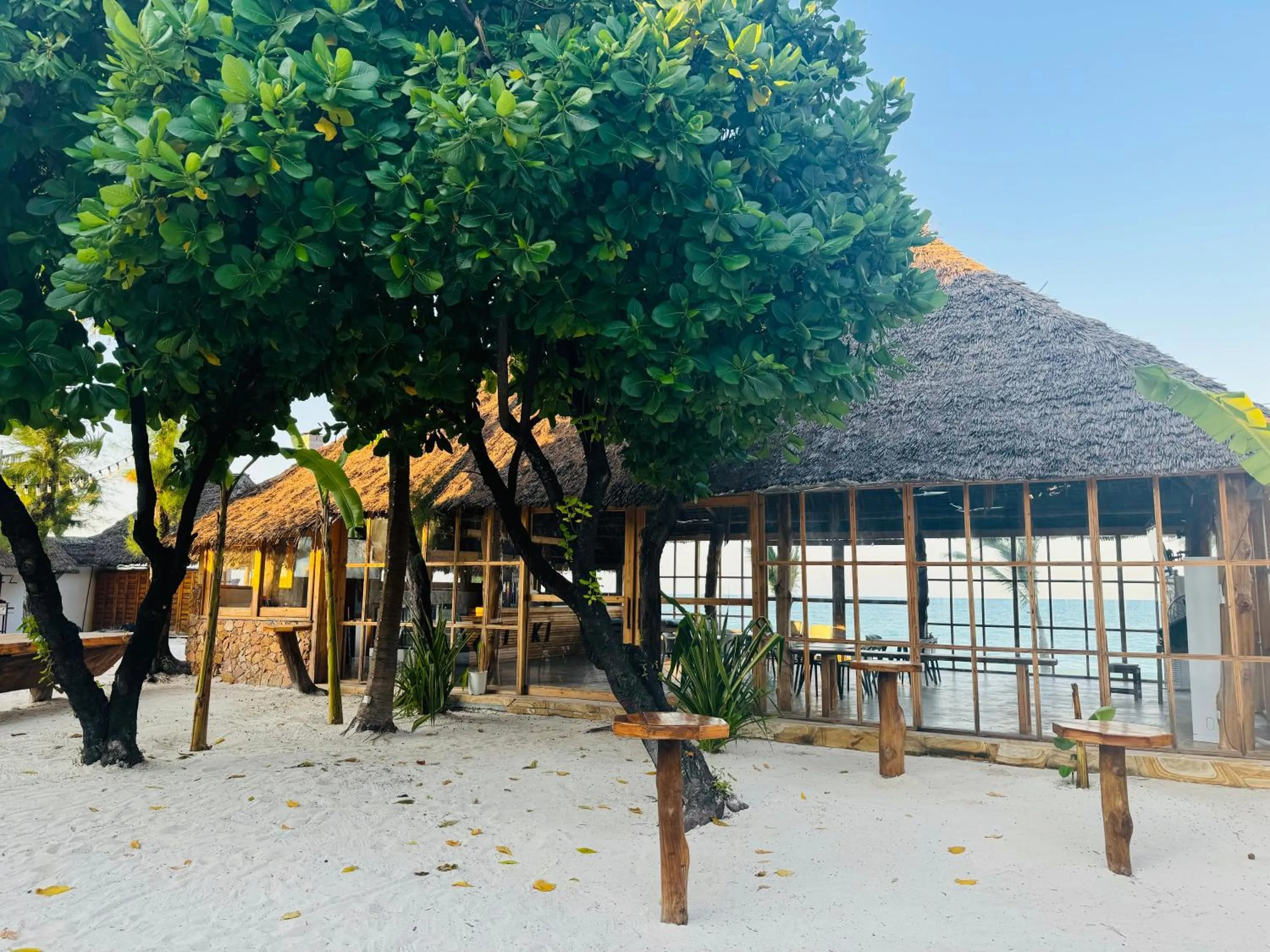 Restaurant/places to eat in TIKI Beach Club & Resort