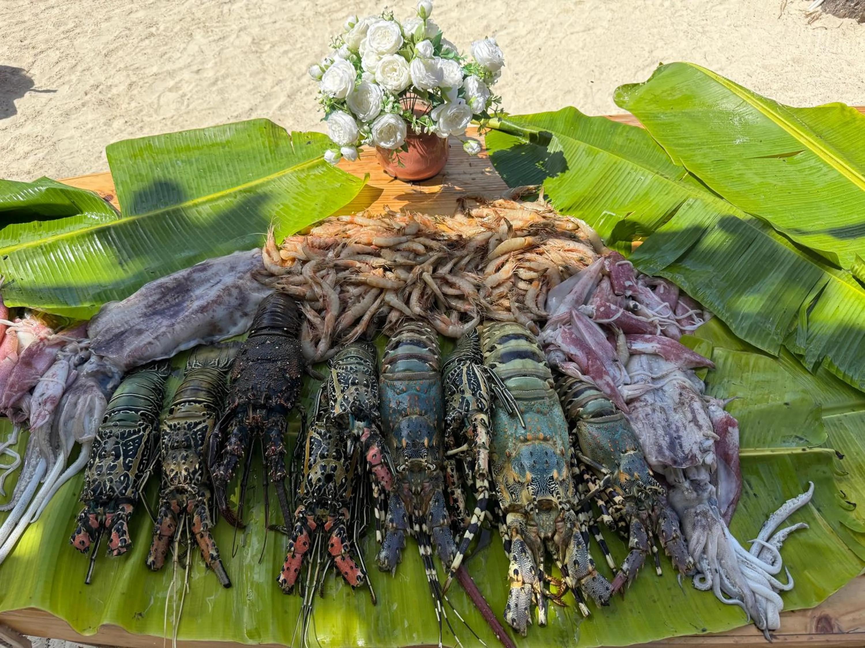 Restaurant/places to eat in TIKI Beach Club & Resort