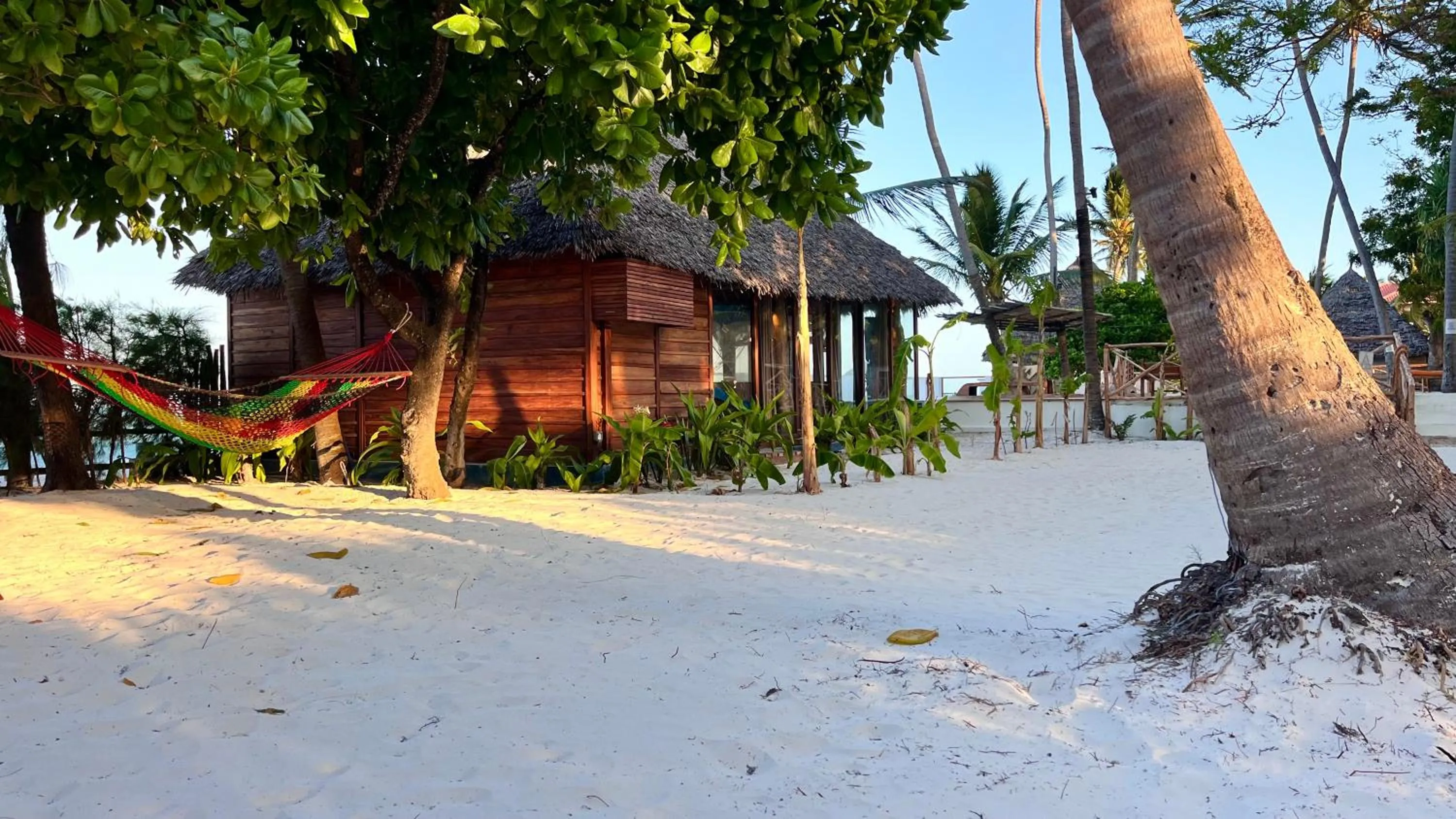 Beach in TIKI Beach Club & Resort