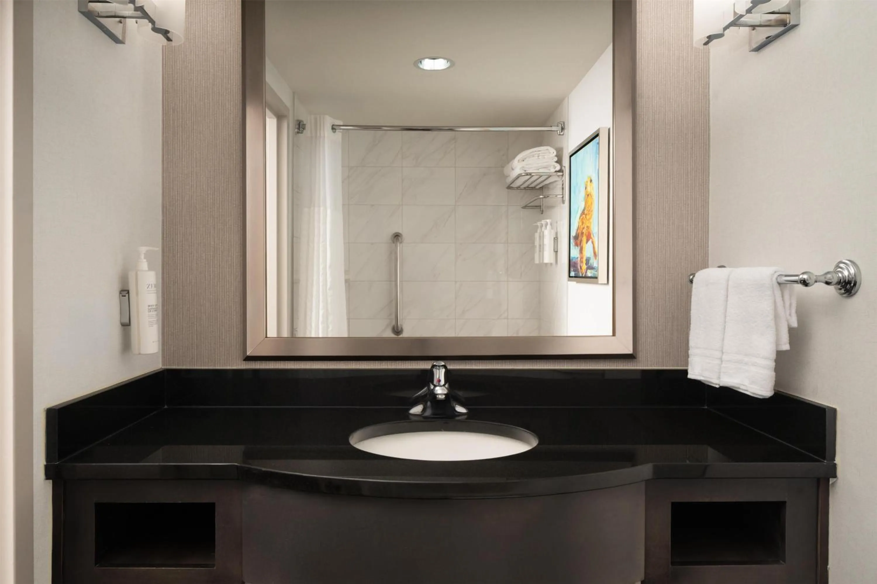 Bathroom in Hilton Garden Inn Charleston Waterfront/Downtown