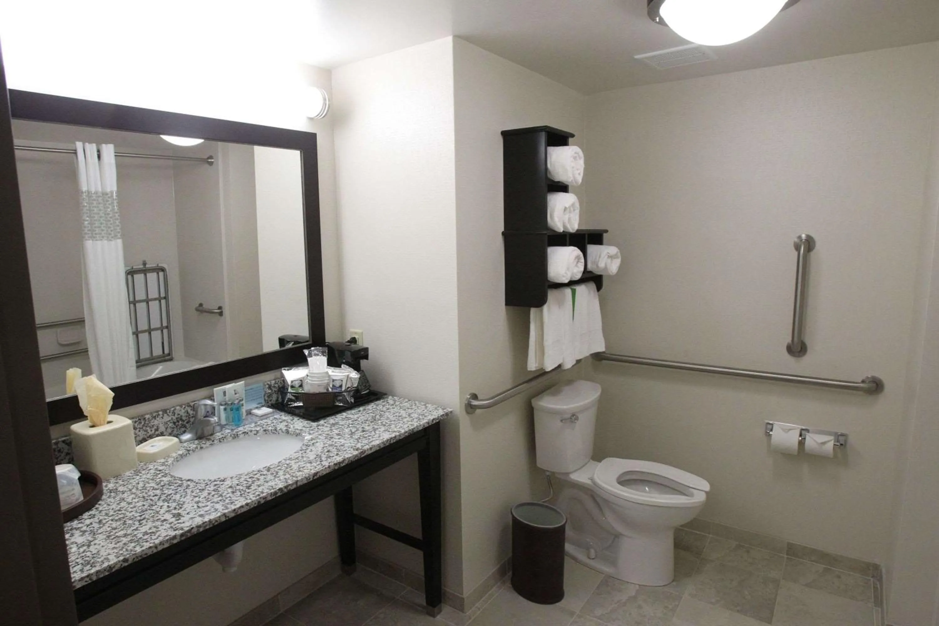 Bathroom in Hampton Inn & Suites Seneca-Clemson Area