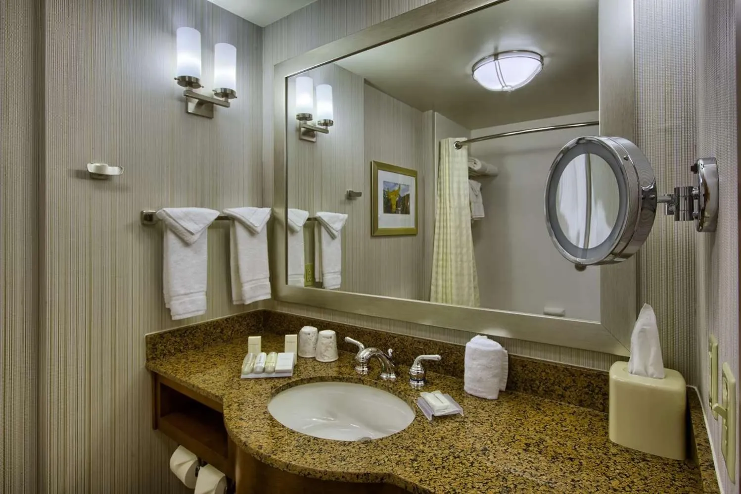 Bathroom in Hilton Garden Inn Durham-University Medical Center