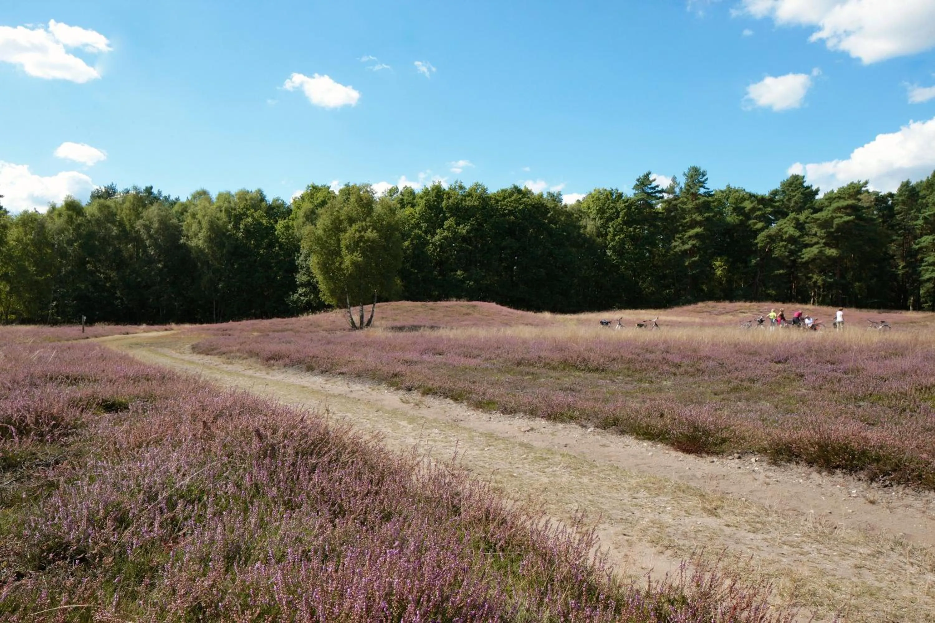 Natural landscape in Ringhotel Fährhaus