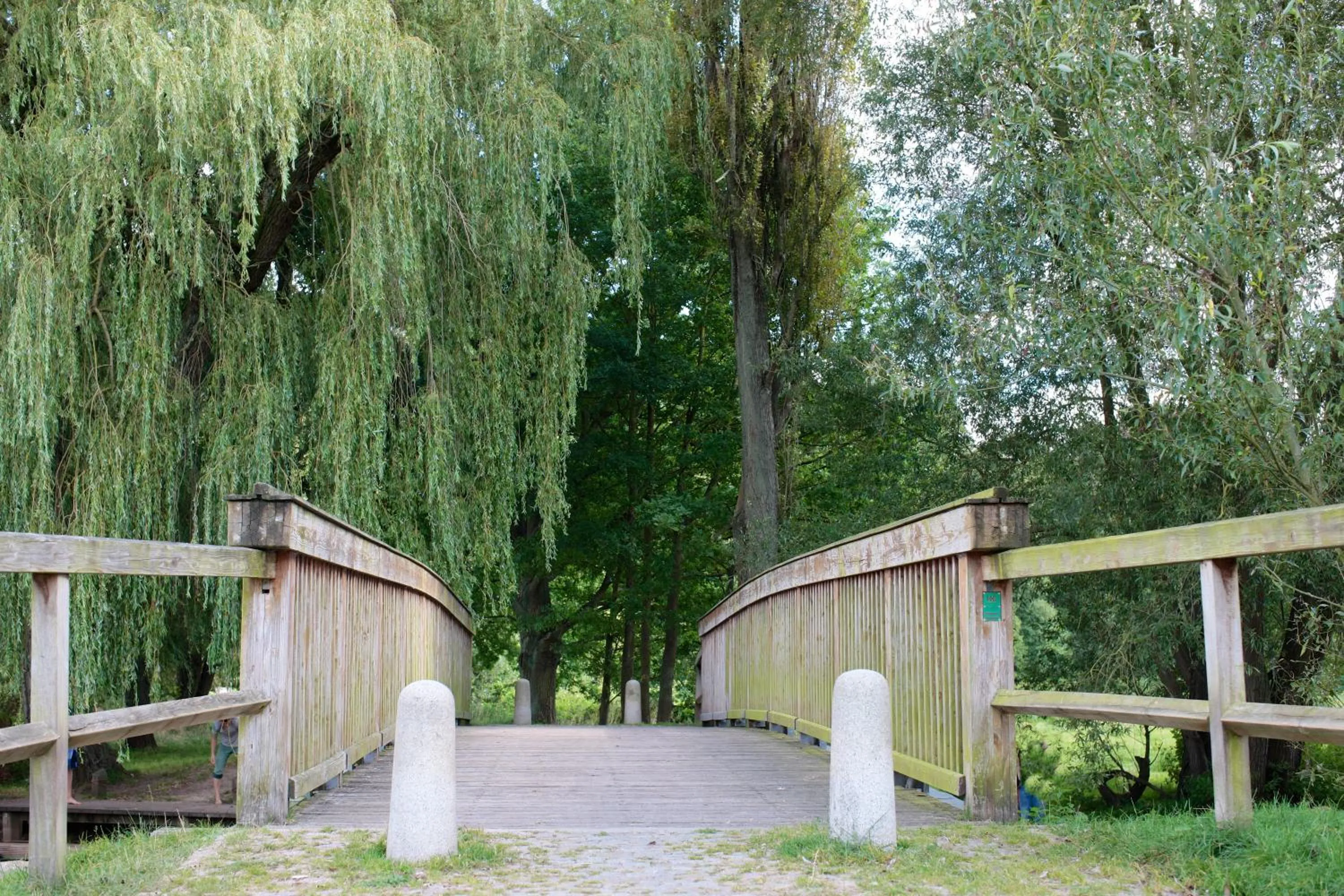 Natural landscape in Ringhotel Fährhaus