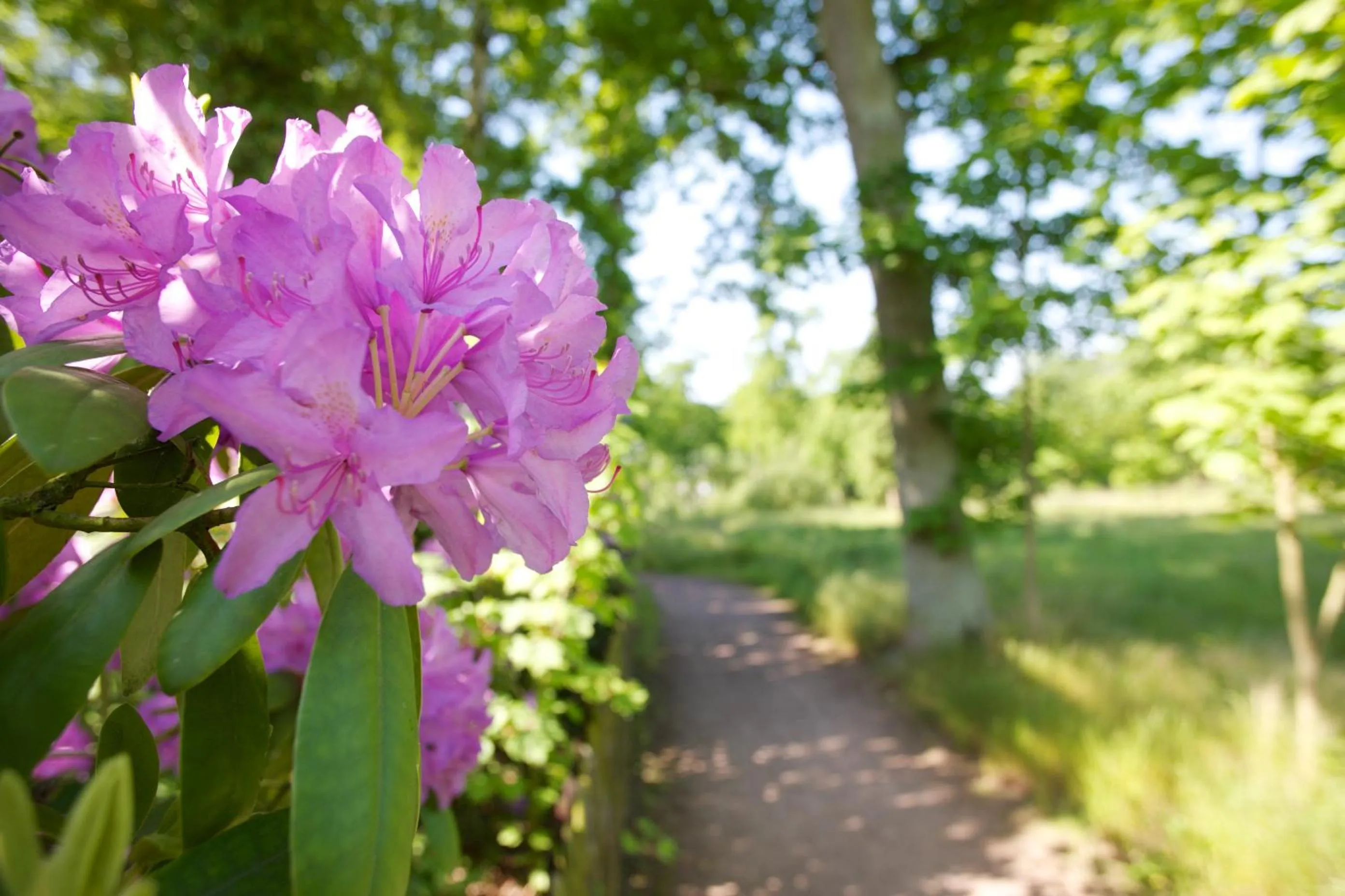 Garden in Ringhotel Fährhaus