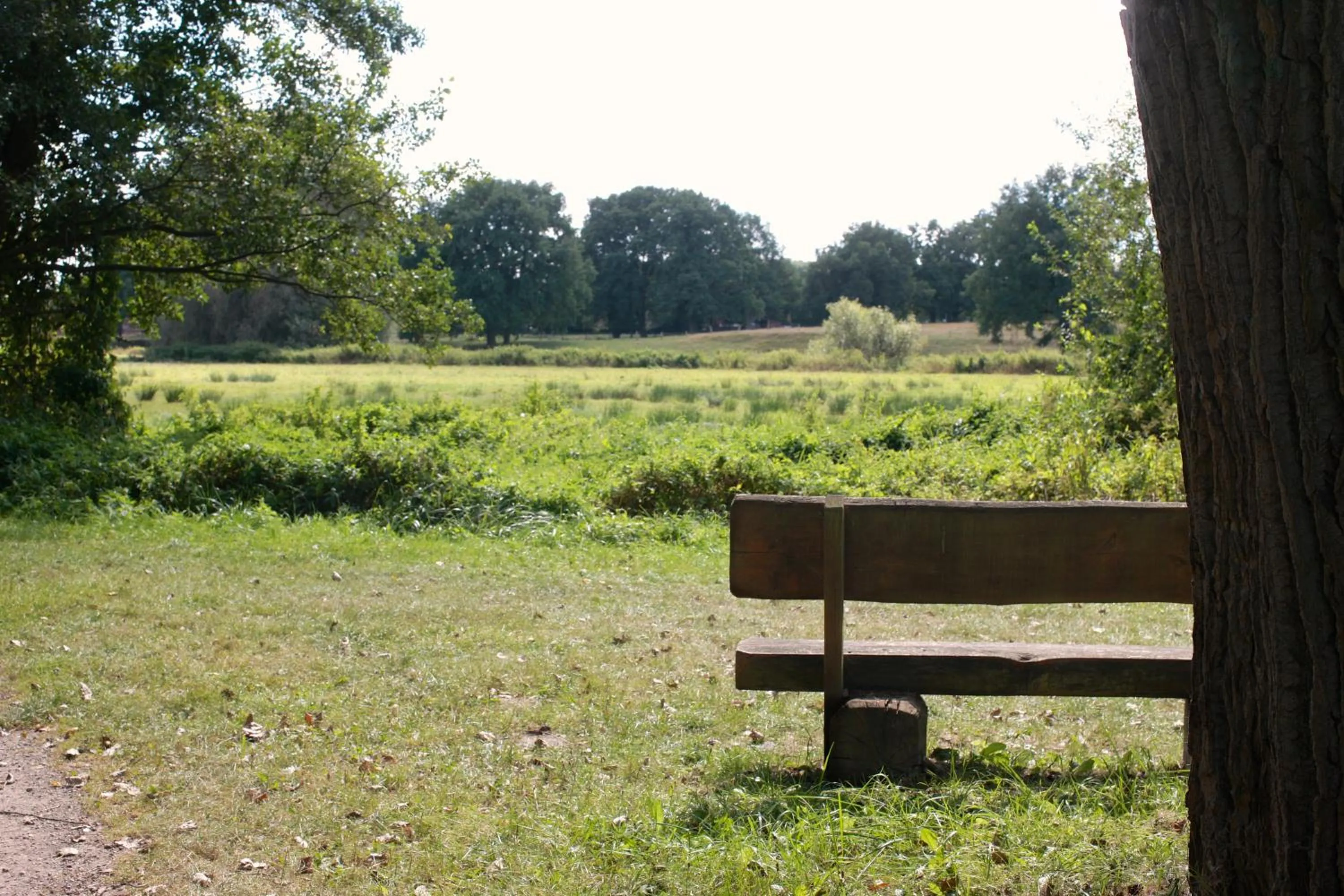 Natural landscape in Ringhotel Fährhaus