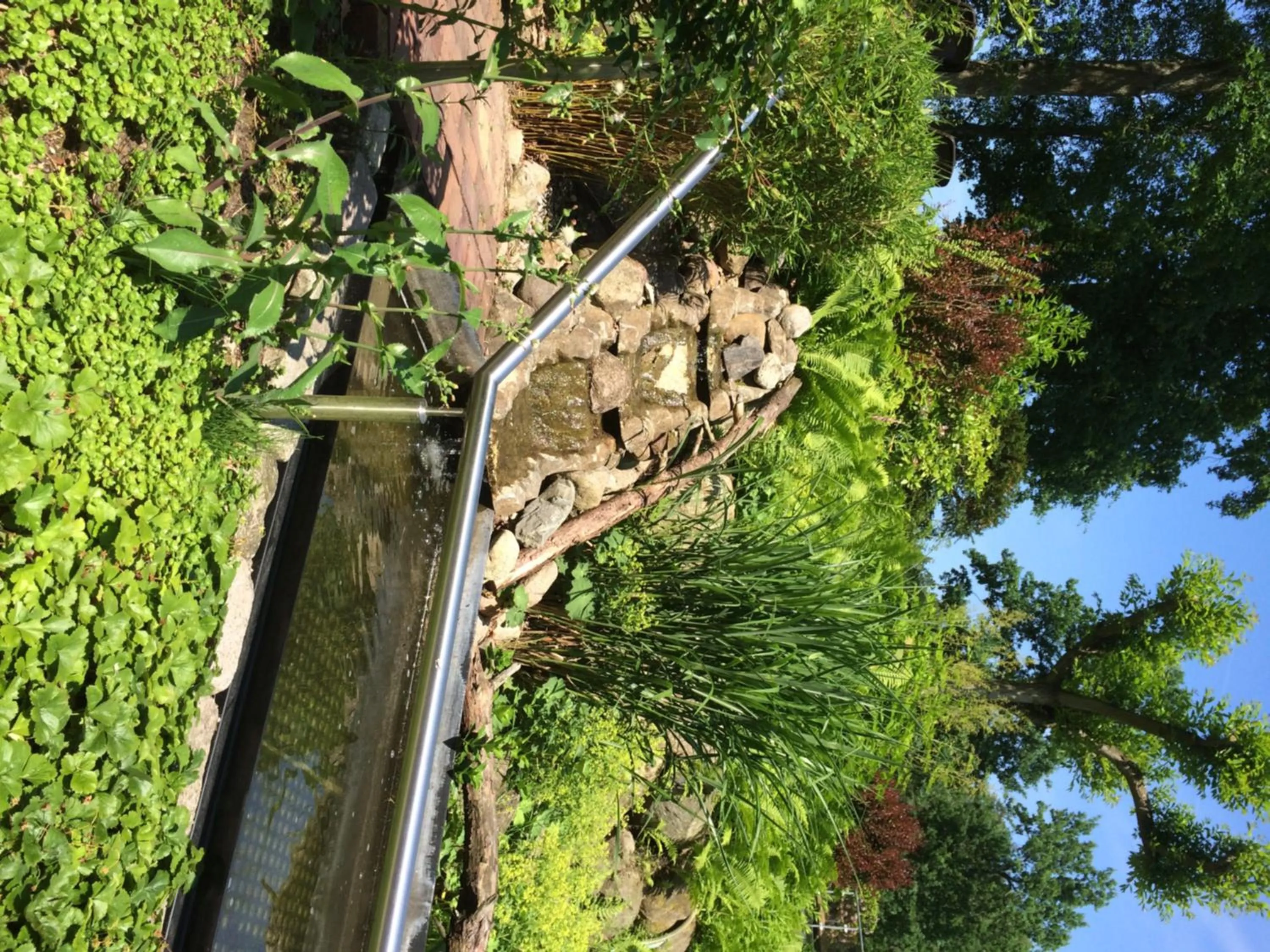 Garden in Ringhotel Fährhaus