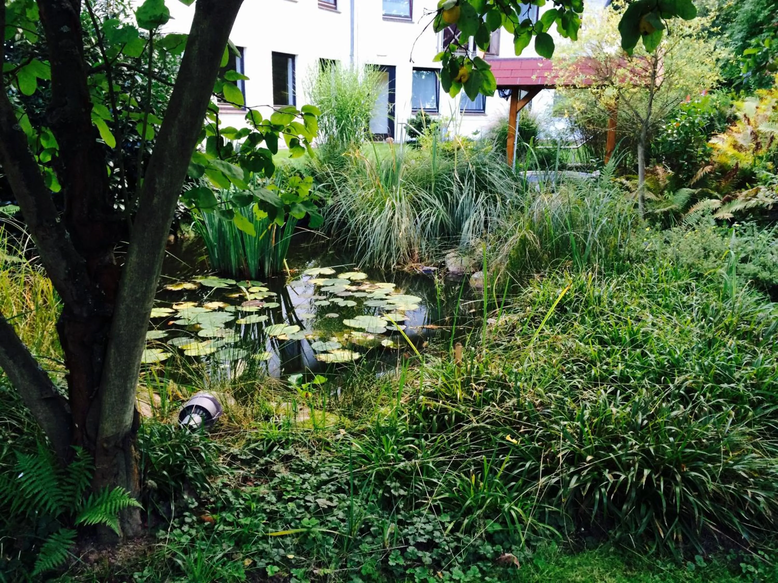 Garden in Ringhotel Fährhaus