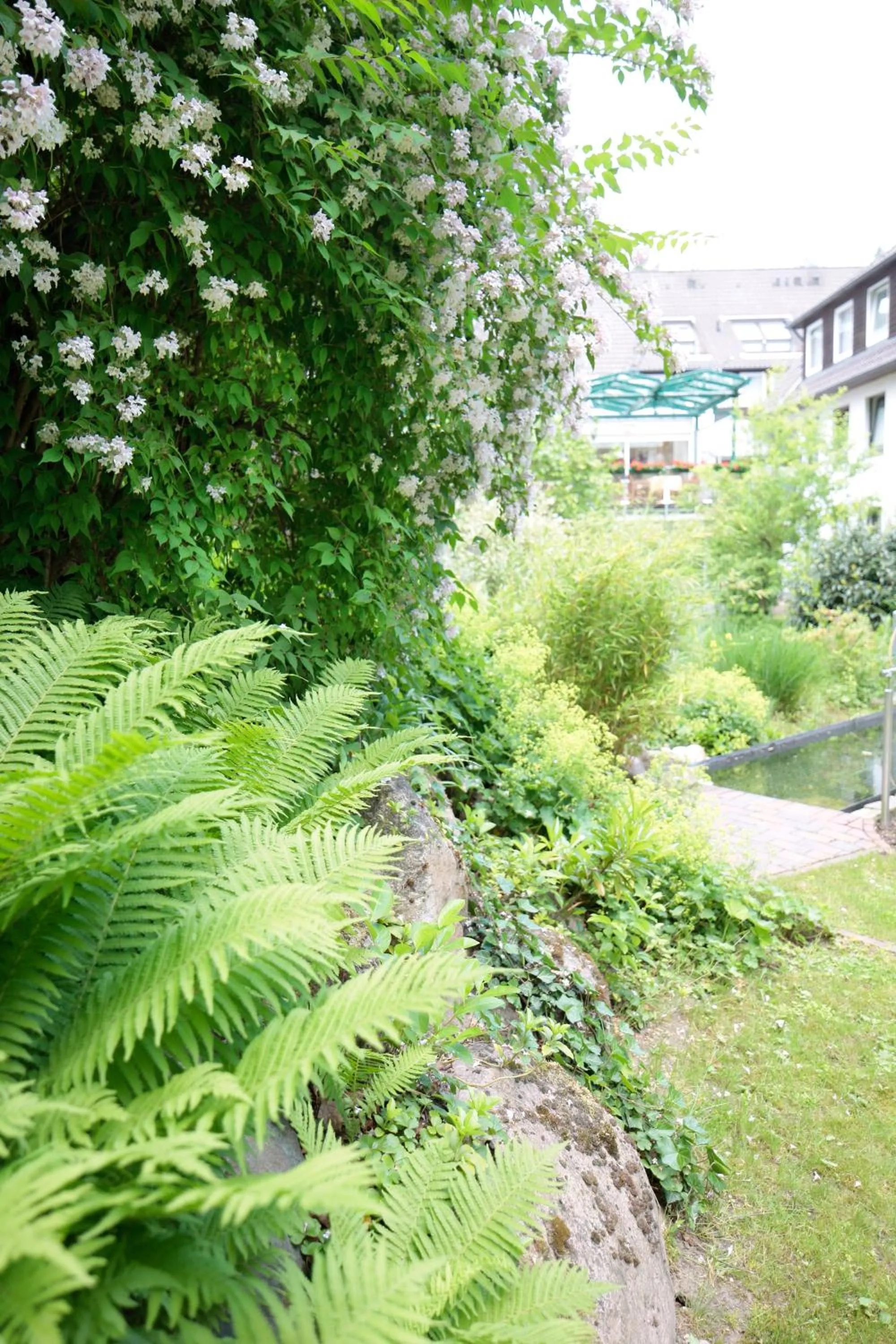 Garden in Ringhotel Fährhaus