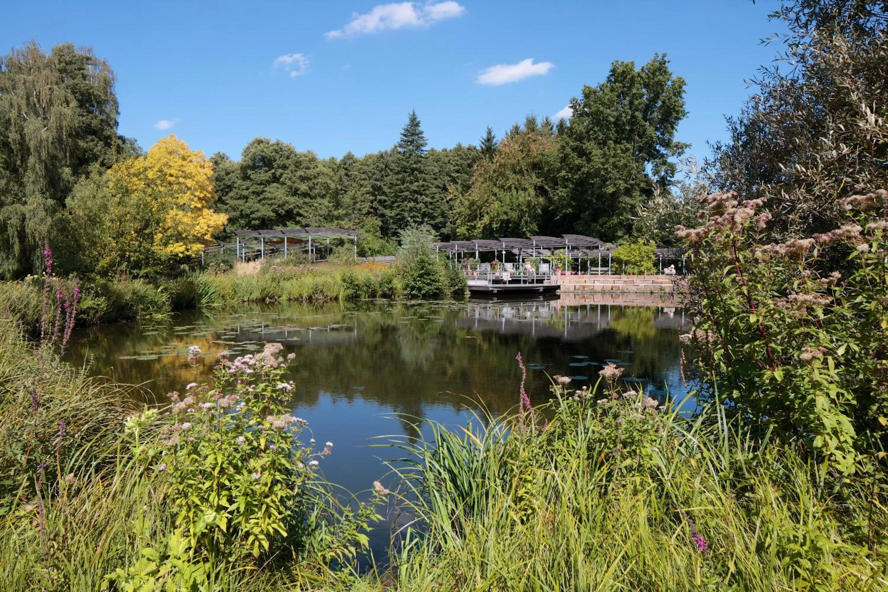 Nearby landmark in Ringhotel Fährhaus