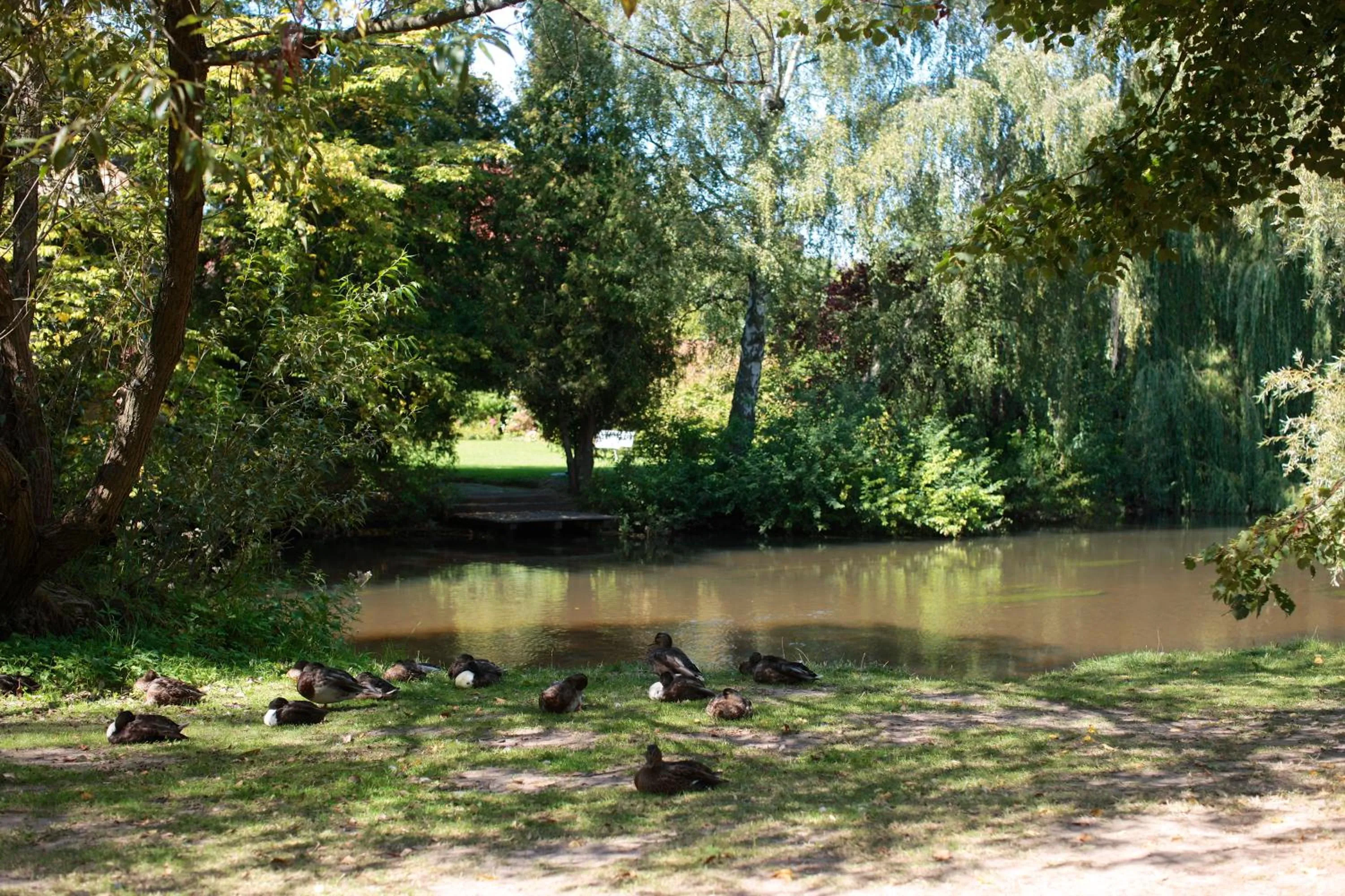 Nearby landmark in Ringhotel Fährhaus