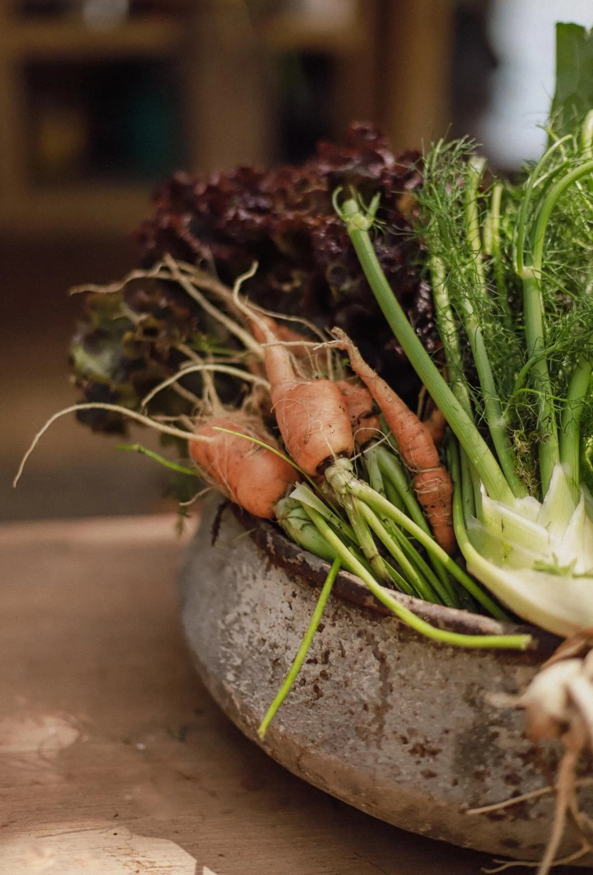 Food and drinks in Filha Da Lua Ecolodge