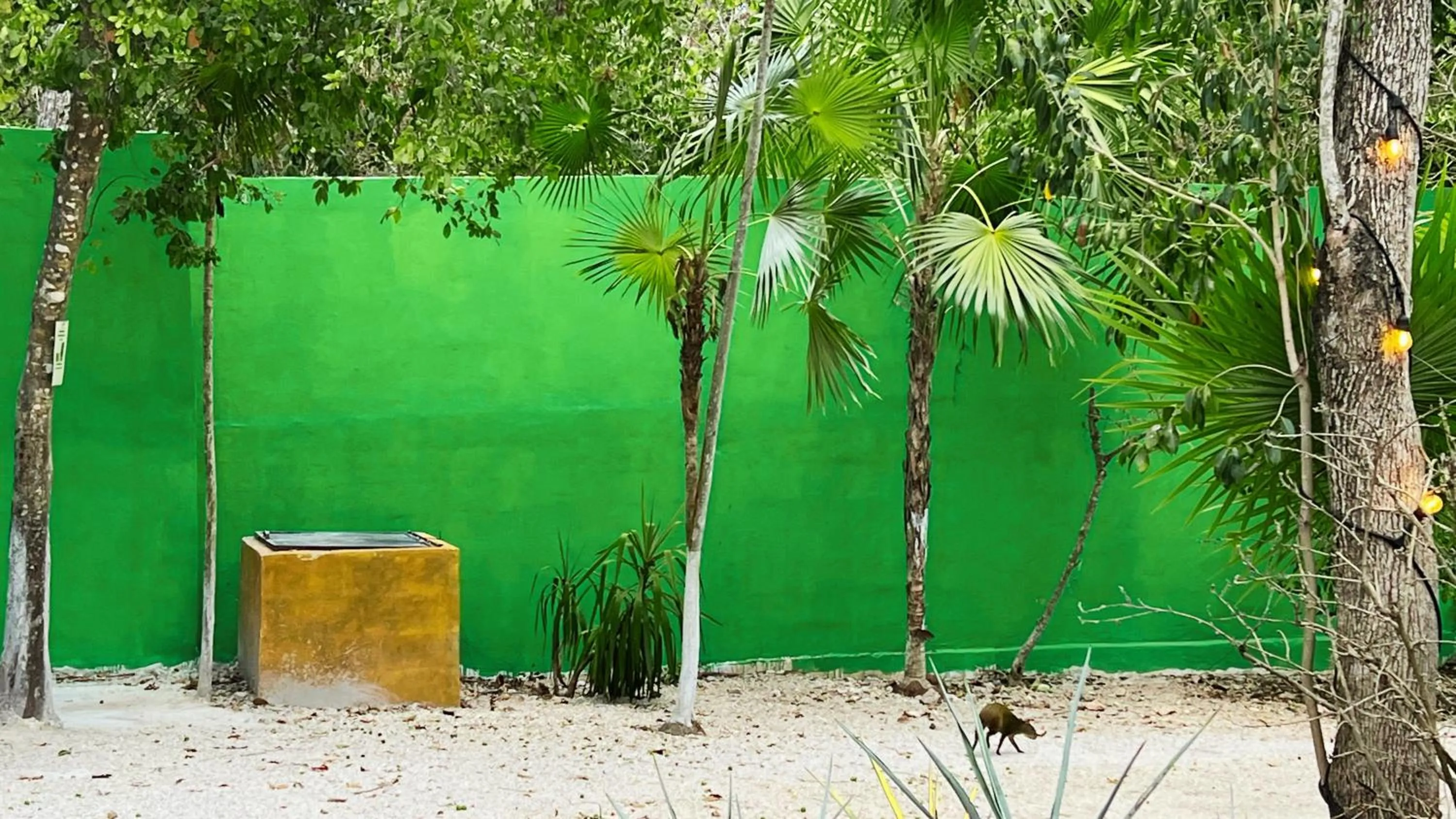 Hotel Tequila Cancun