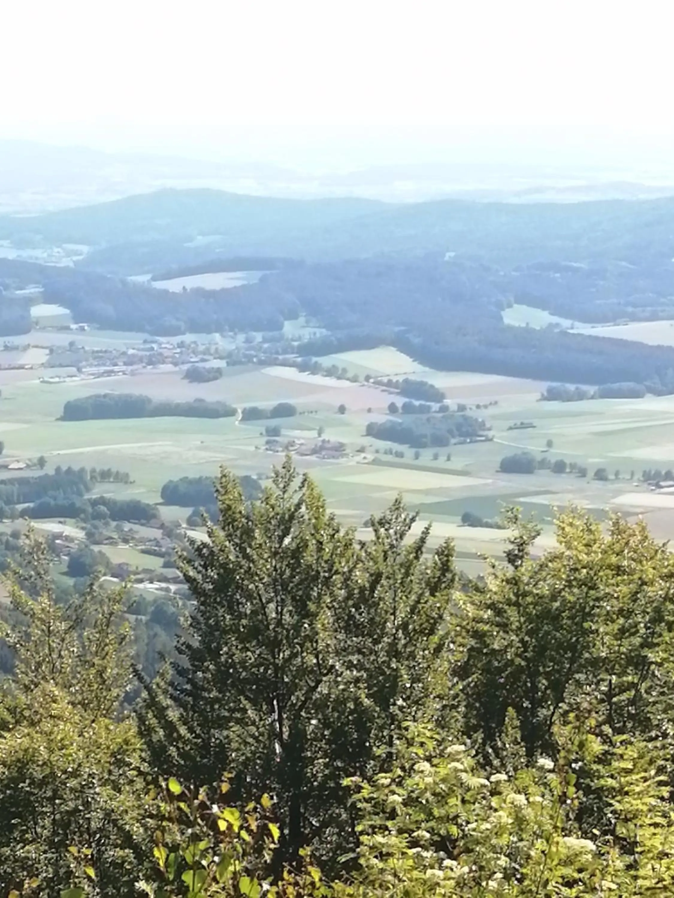 Natural landscape in Hotel Lugerhof