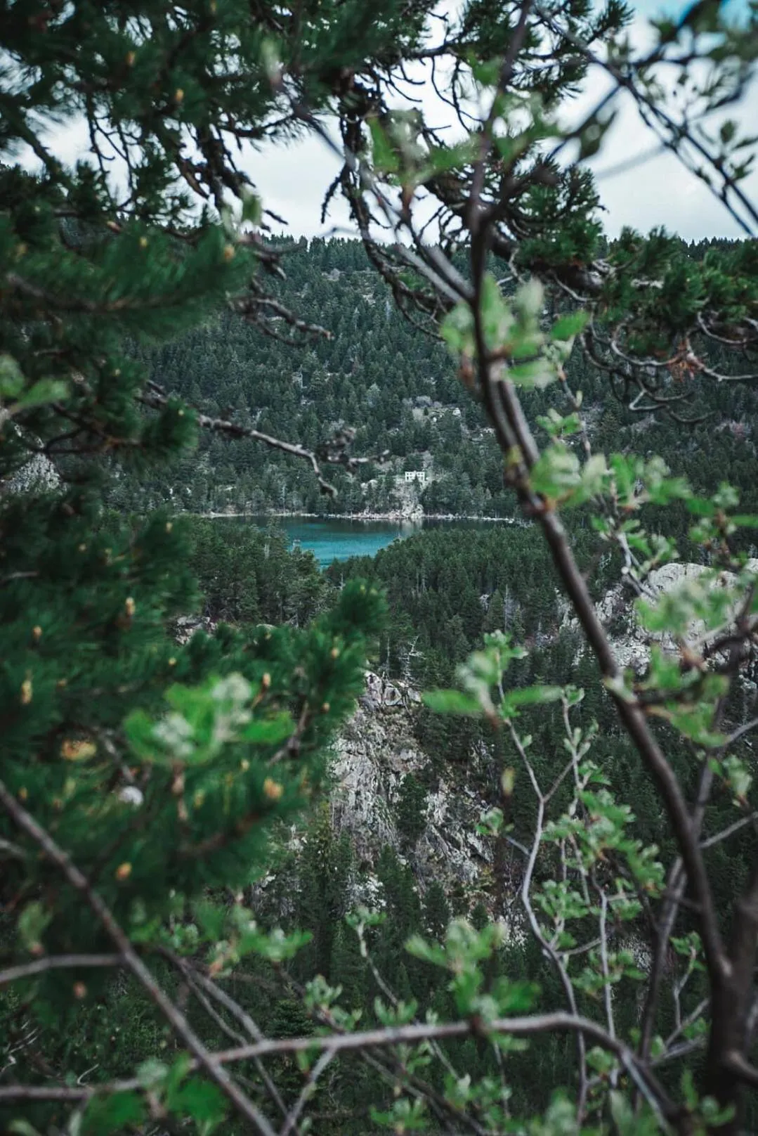 Natural landscape in Résidence Les Esplaneilles
