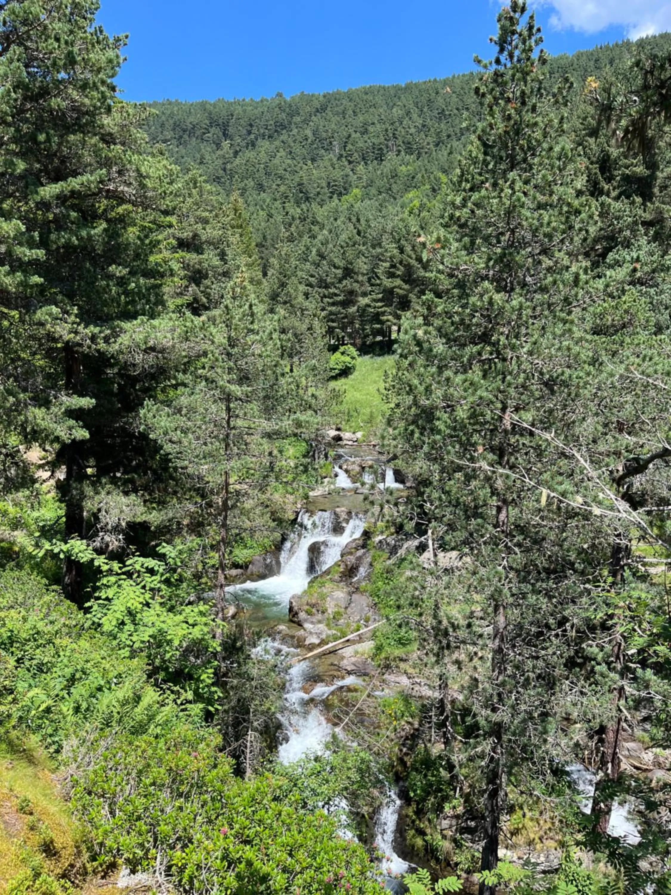 Hiking in Résidence Les Esplaneilles