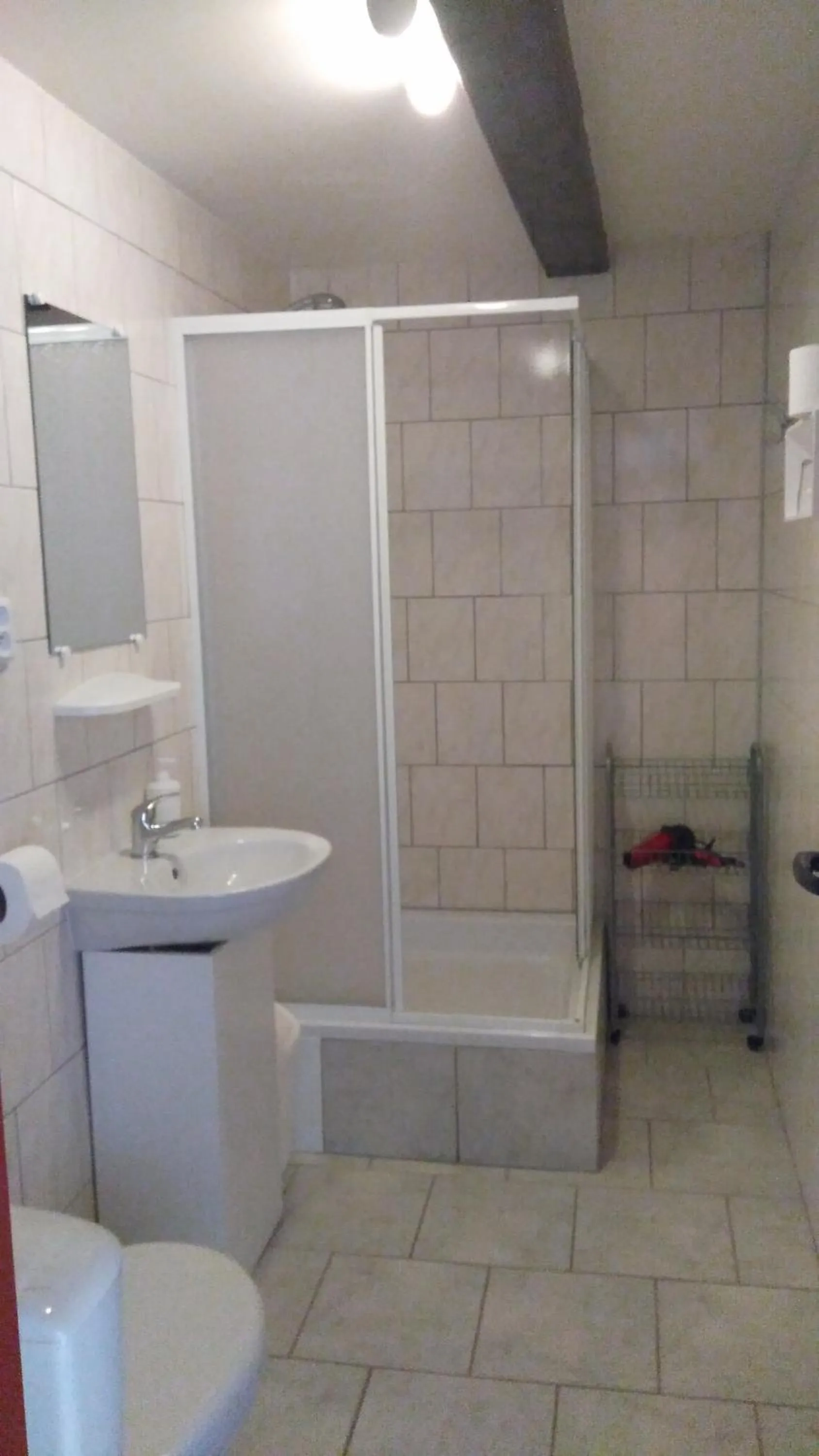 Bathroom in Bed and Breakfast Tvrz