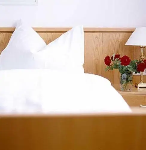 Single Room with Bathroom in Hotel Garni Altes Gasthaus Greve Single Room with Bathroom in Hotel Garni Altes Gasthaus Greve