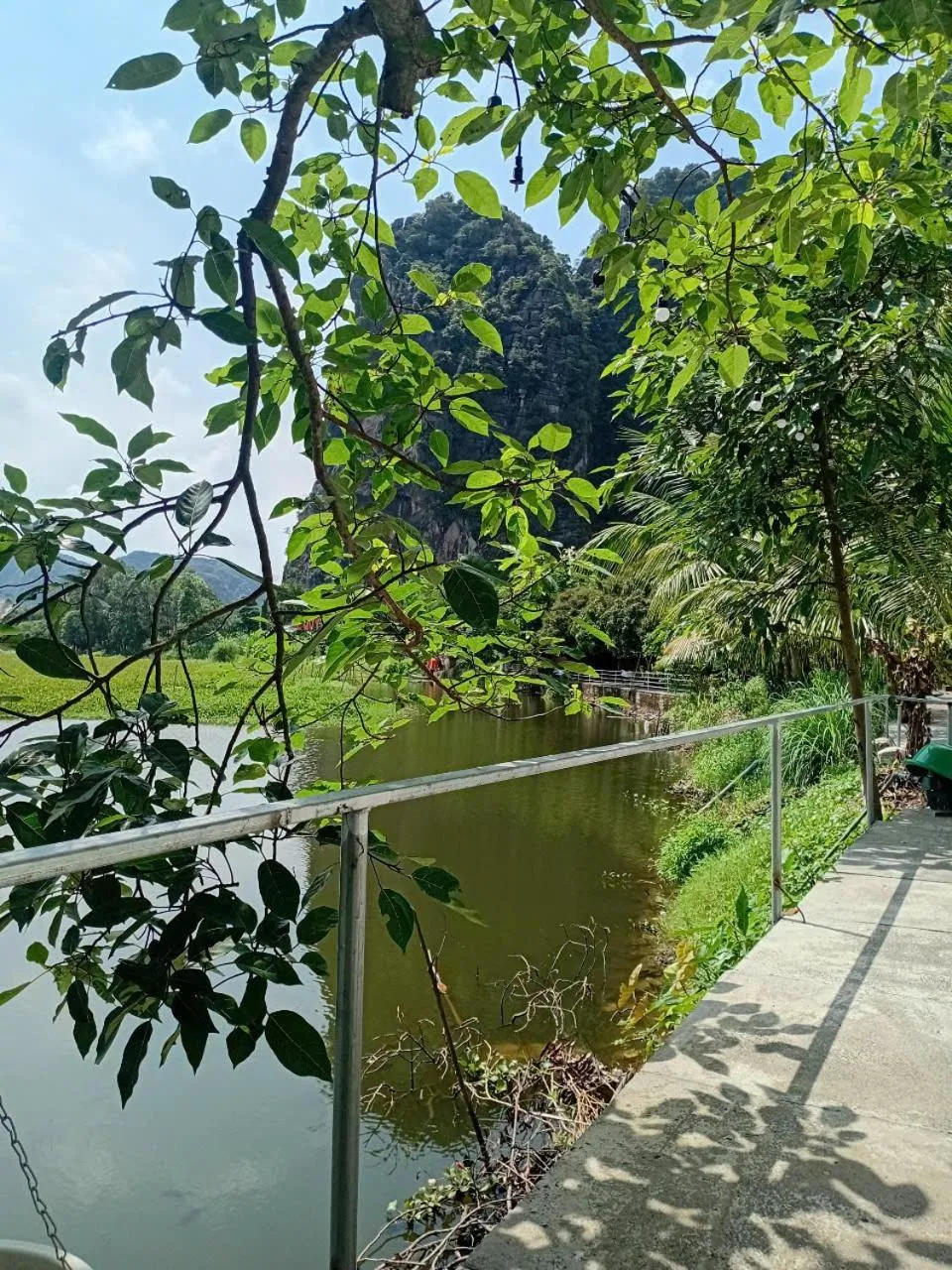 Serena riverside homestay - Tràng An