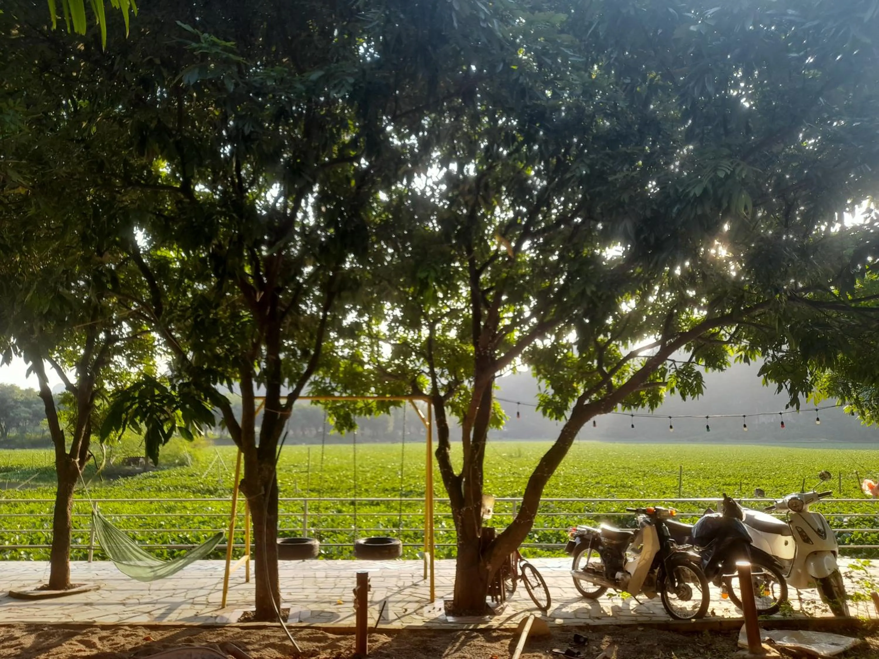 Serena riverside homestay - Tràng An