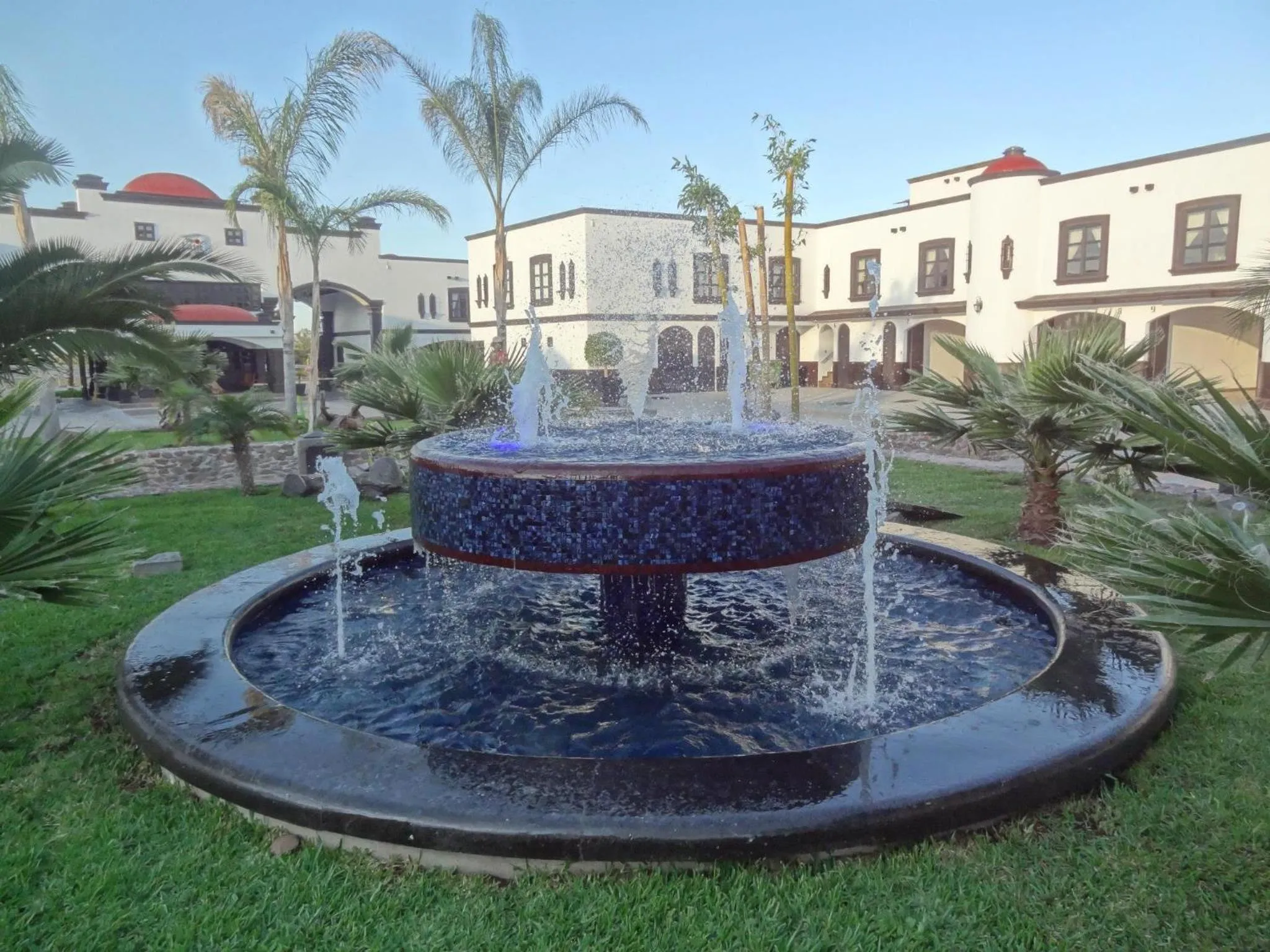 Garden in The Latit Hotel Querétaro