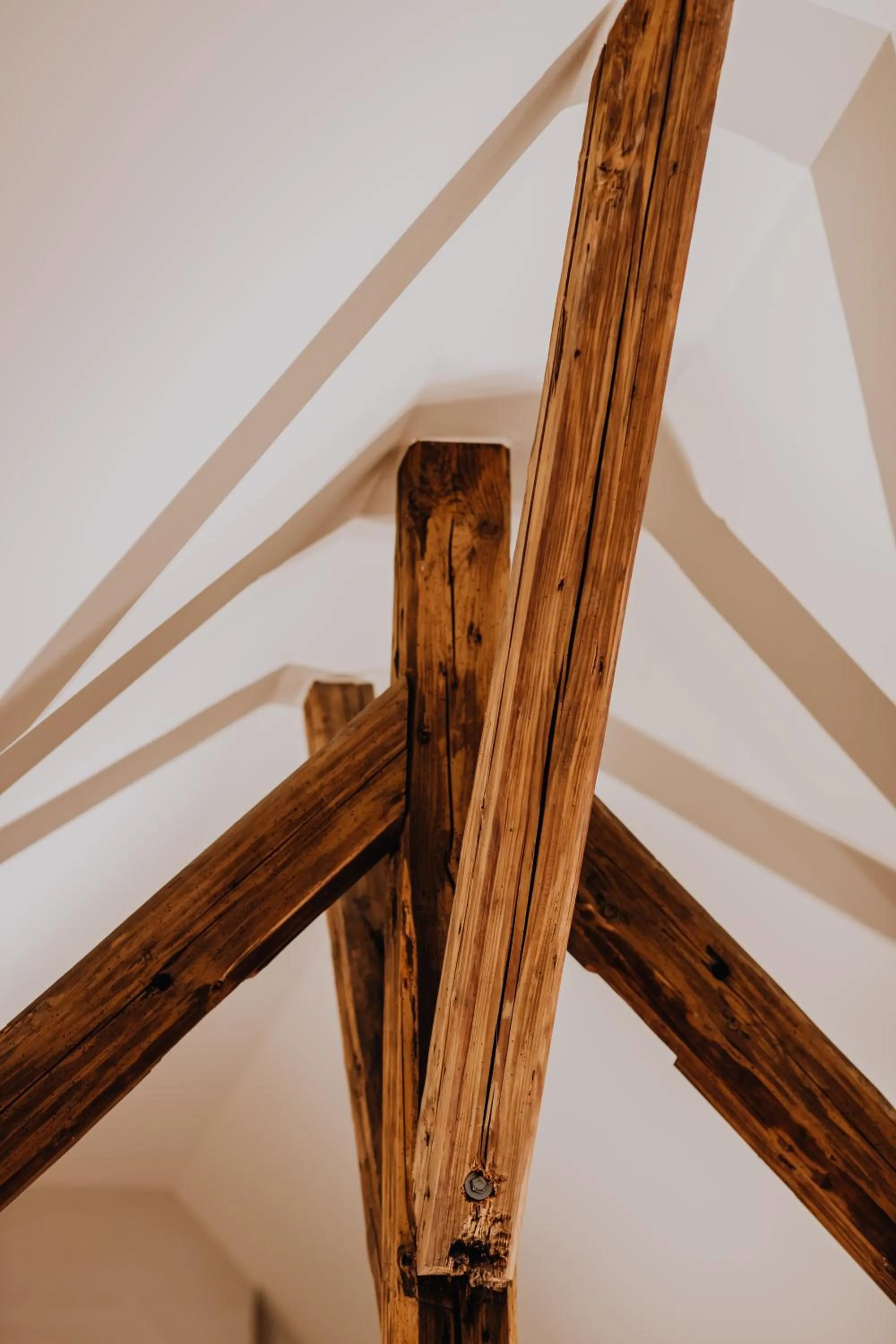 Decorative detail in B&B Anna9