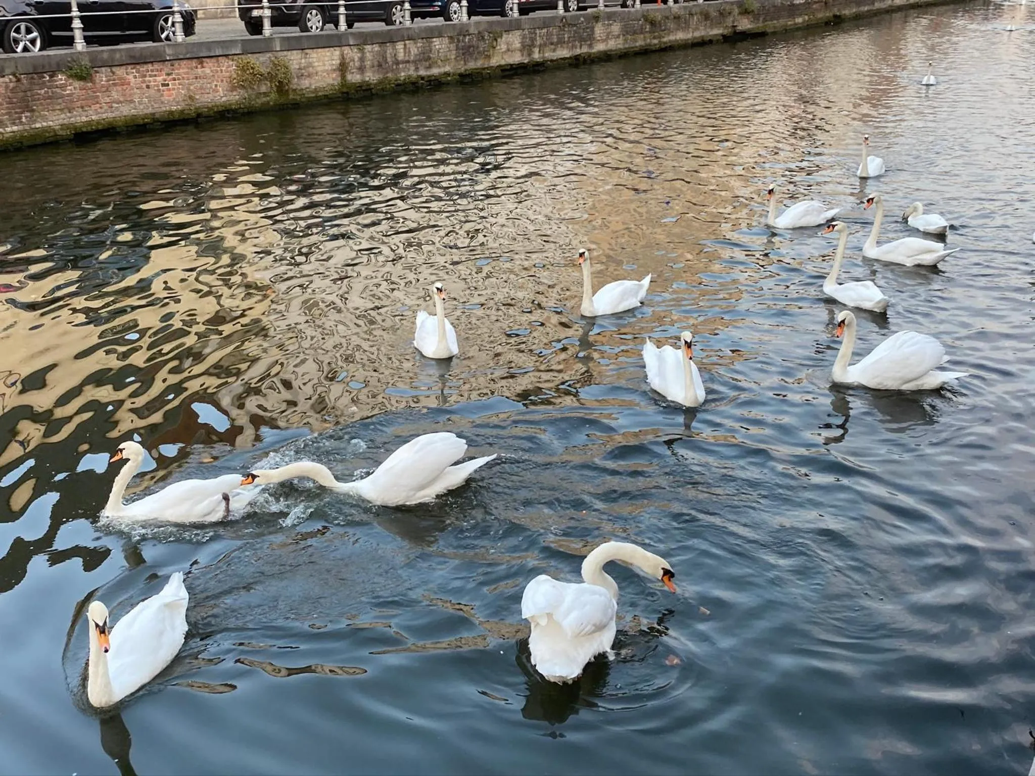 River view in B&B Anna9