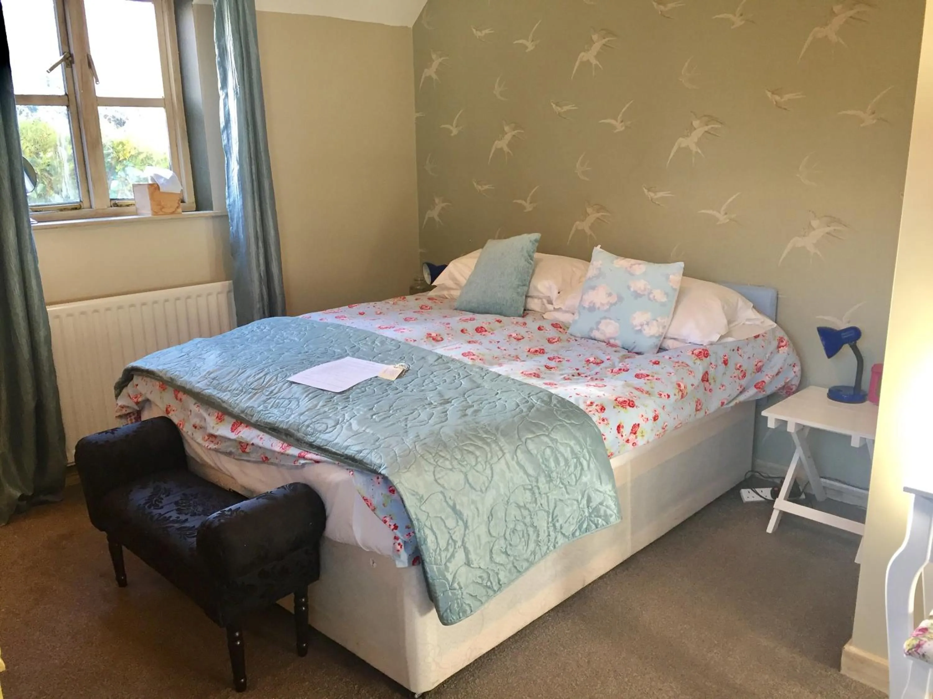 Photo of the whole room in Abel's Harp