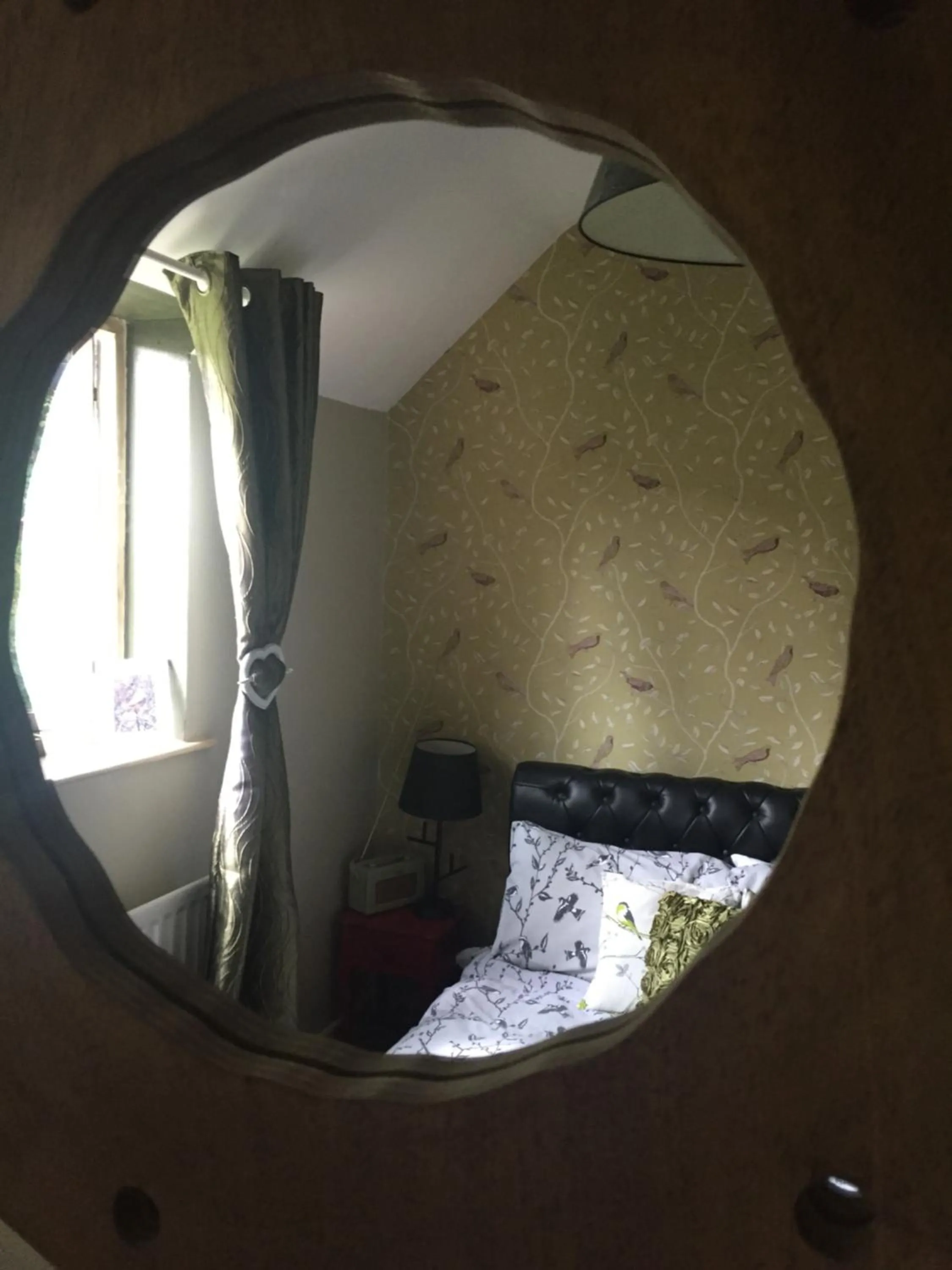 Photo of the whole room in Abel's Harp