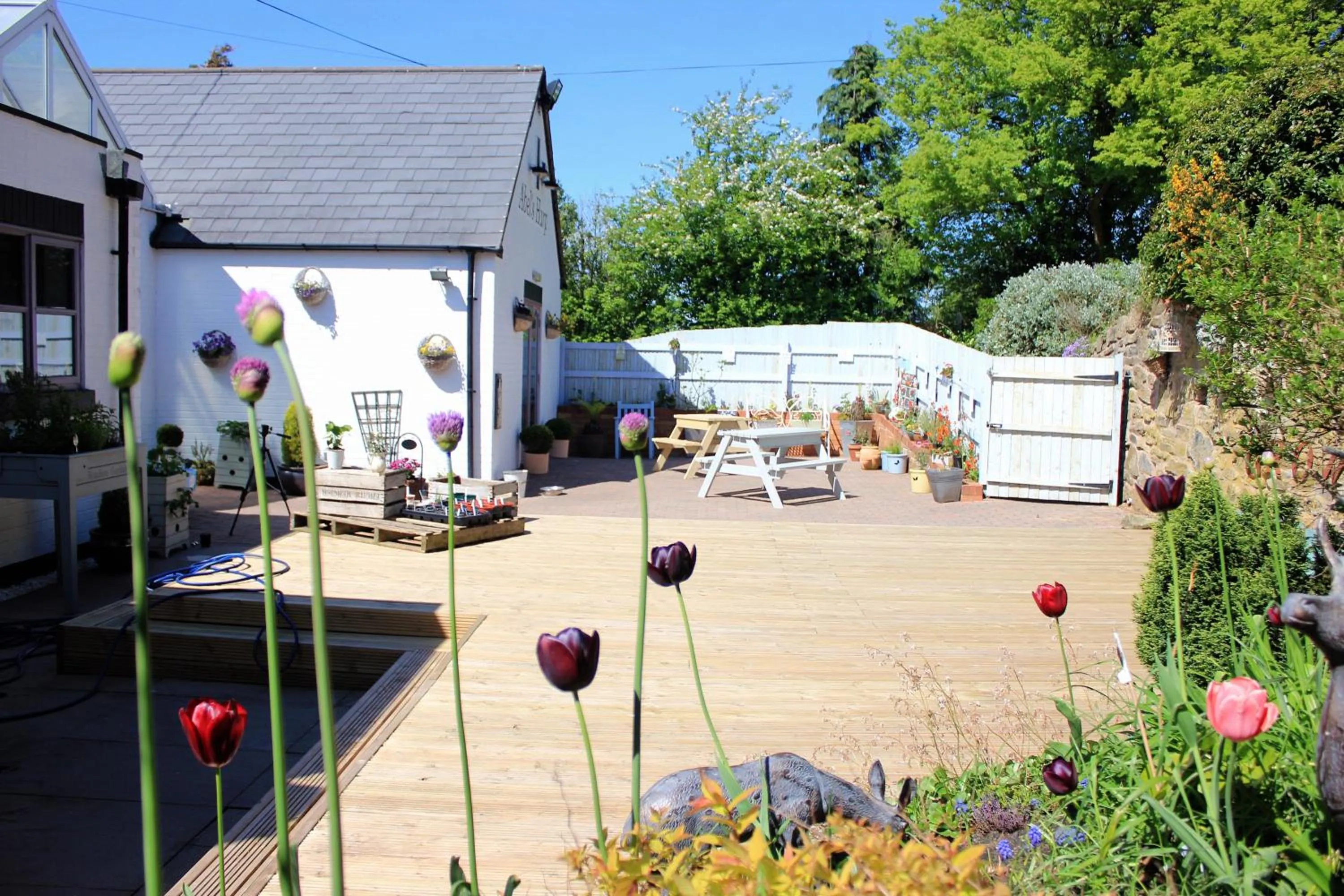 Patio in Abel's Harp