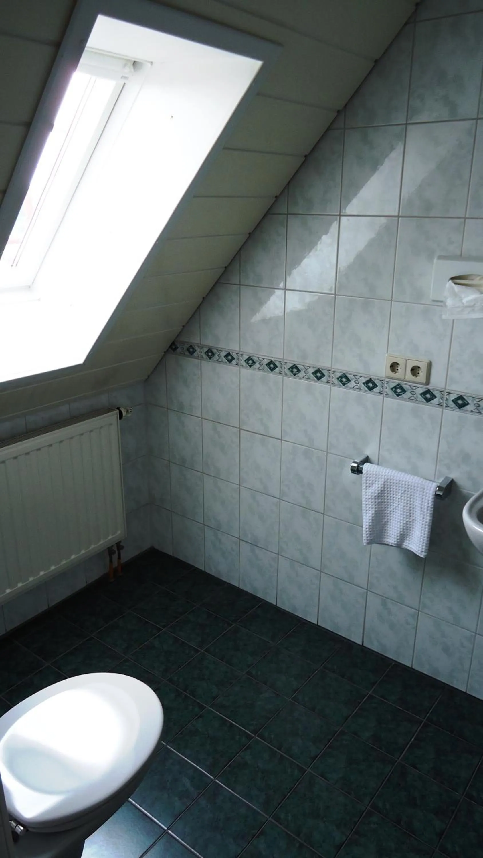 Toilet in Hotel Krone