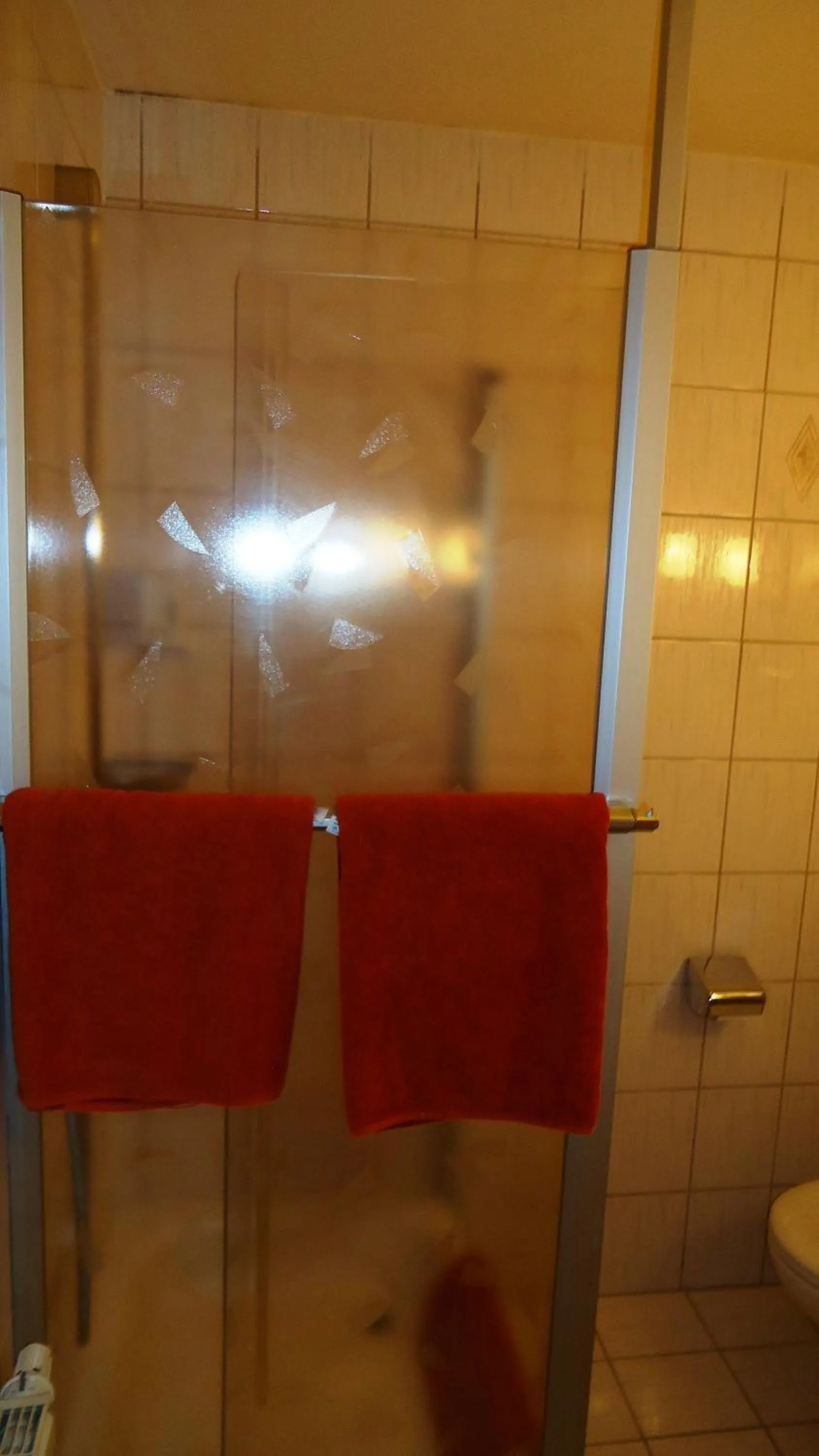 Shower in Hotel Krone