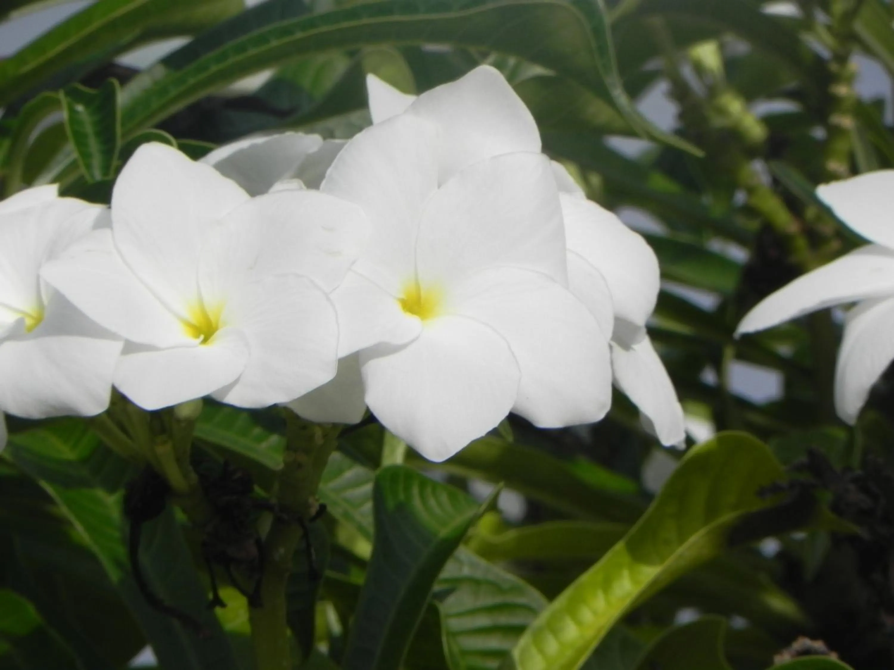Natural landscape in Villa Touloulou