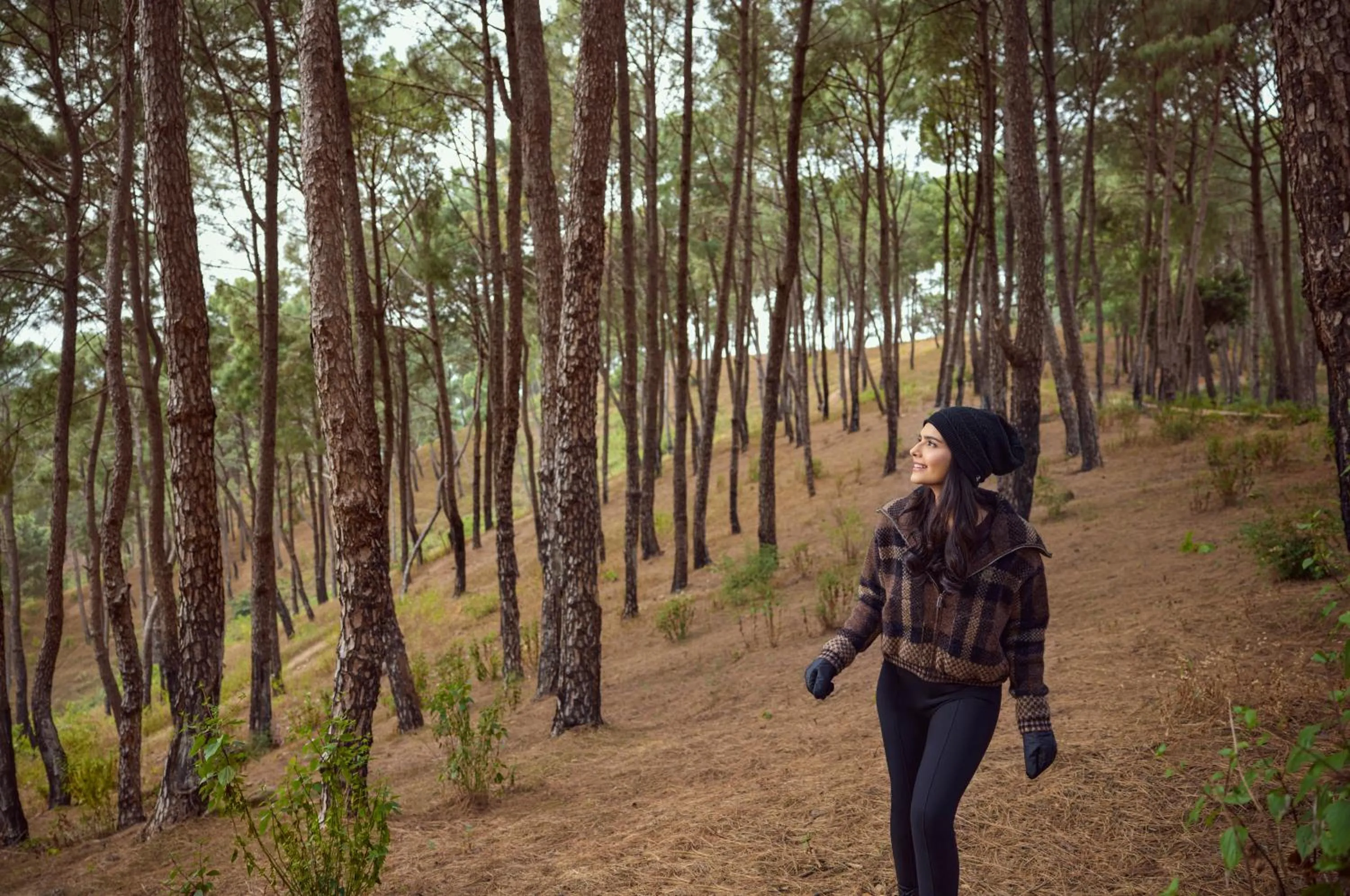 Natural landscape in Storii By ITC Hotels, Amoha Retreat Dharamshala