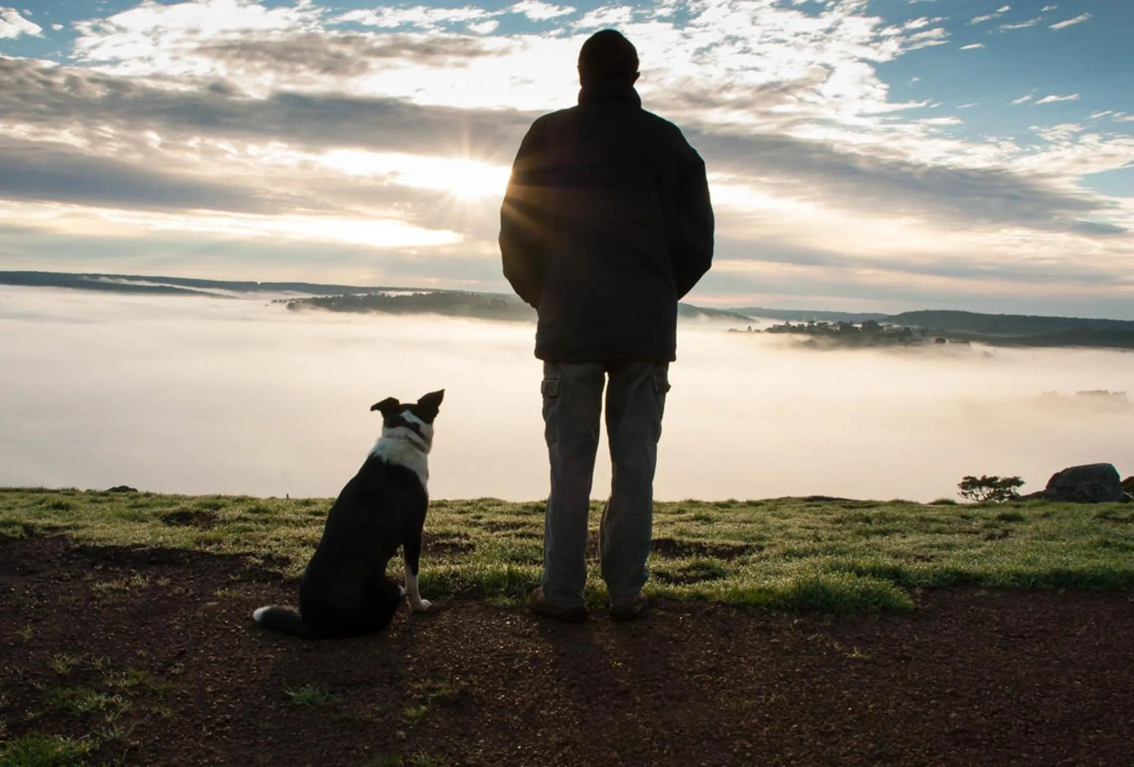View (from property/room) in Balingup Heights Hilltop Forest Cottages