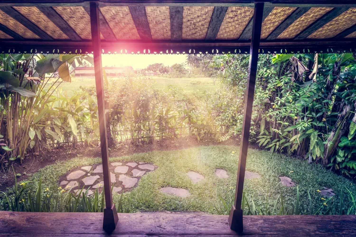 Garden in Dragonfly Village