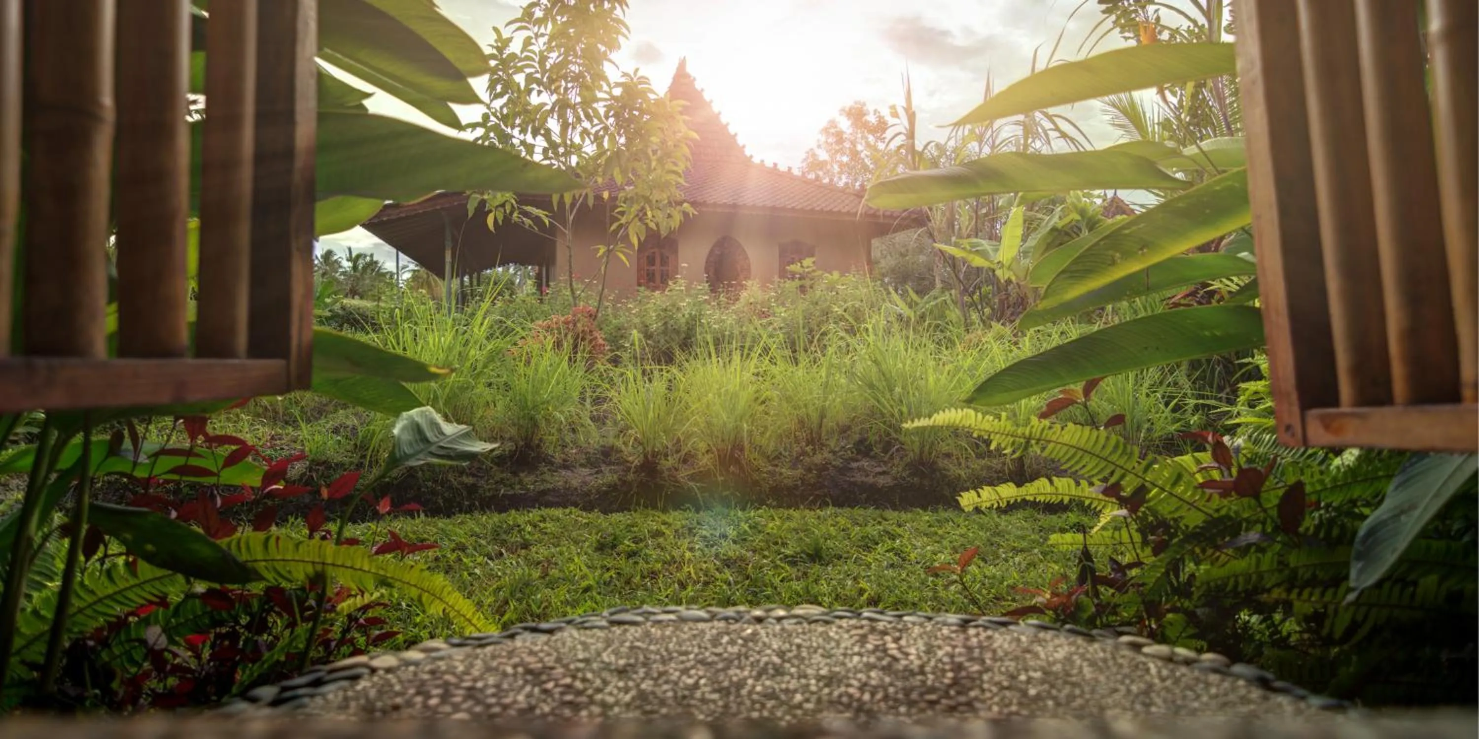 Massage in Dragonfly Village