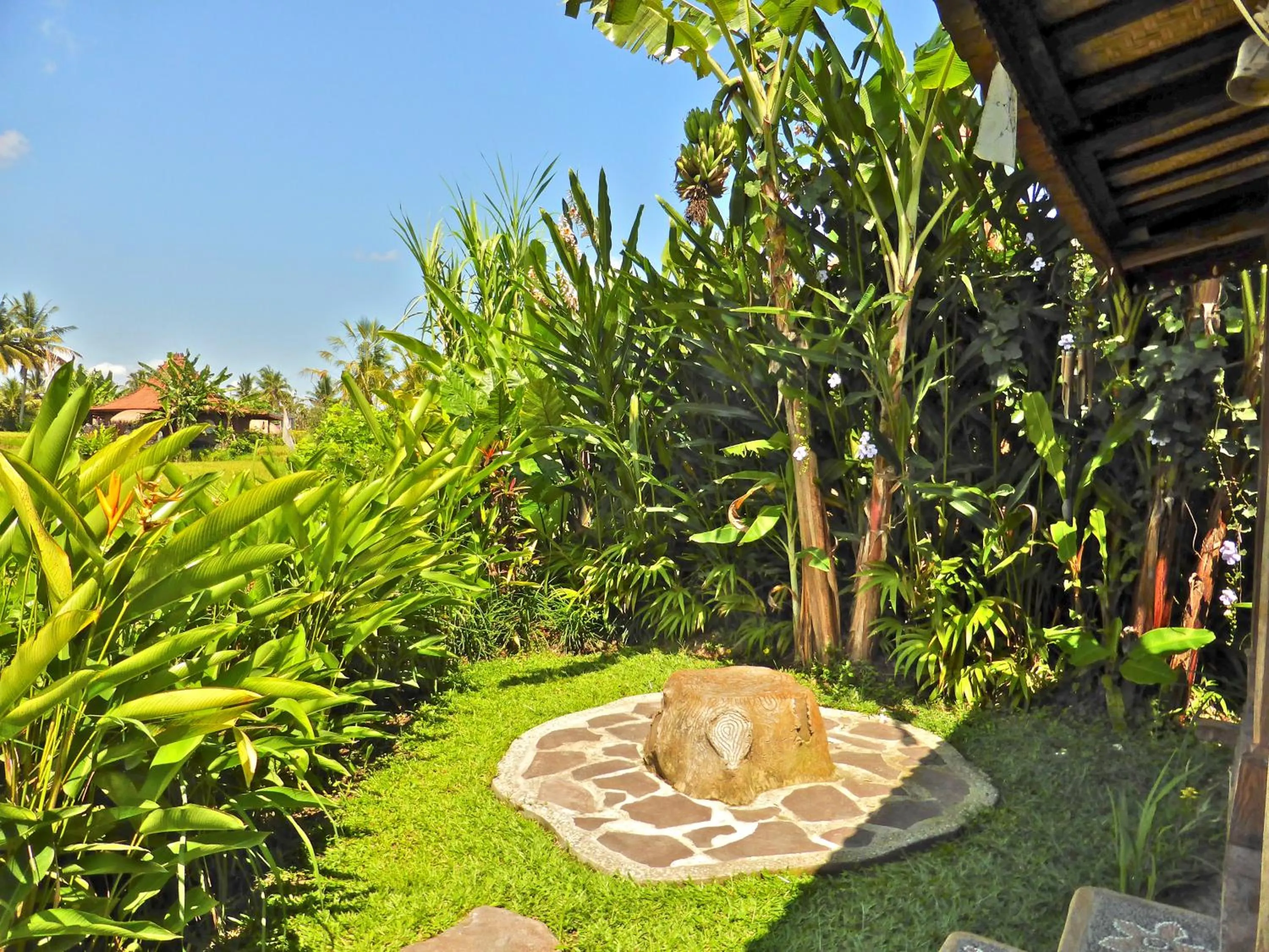 Balcony/Terrace in Dragonfly Village