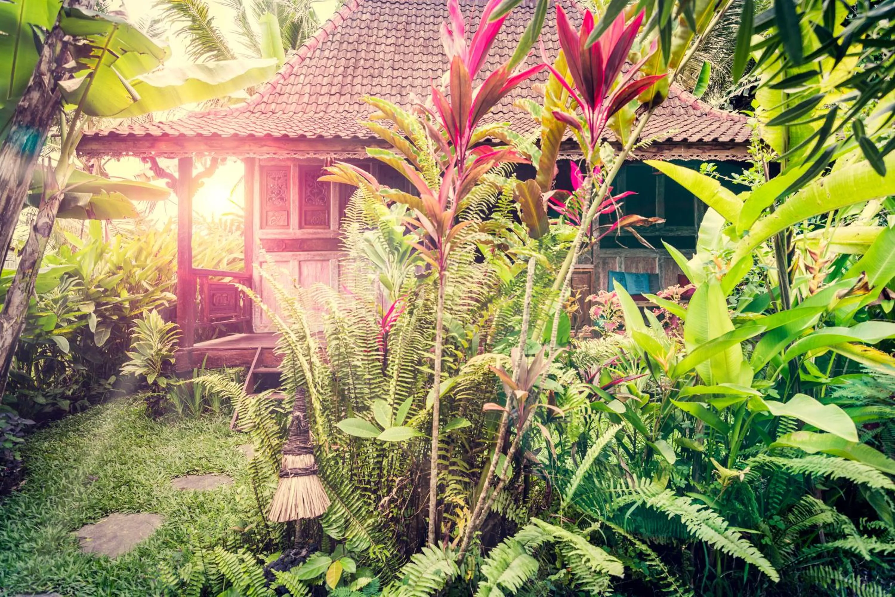 Garden in Dragonfly Village