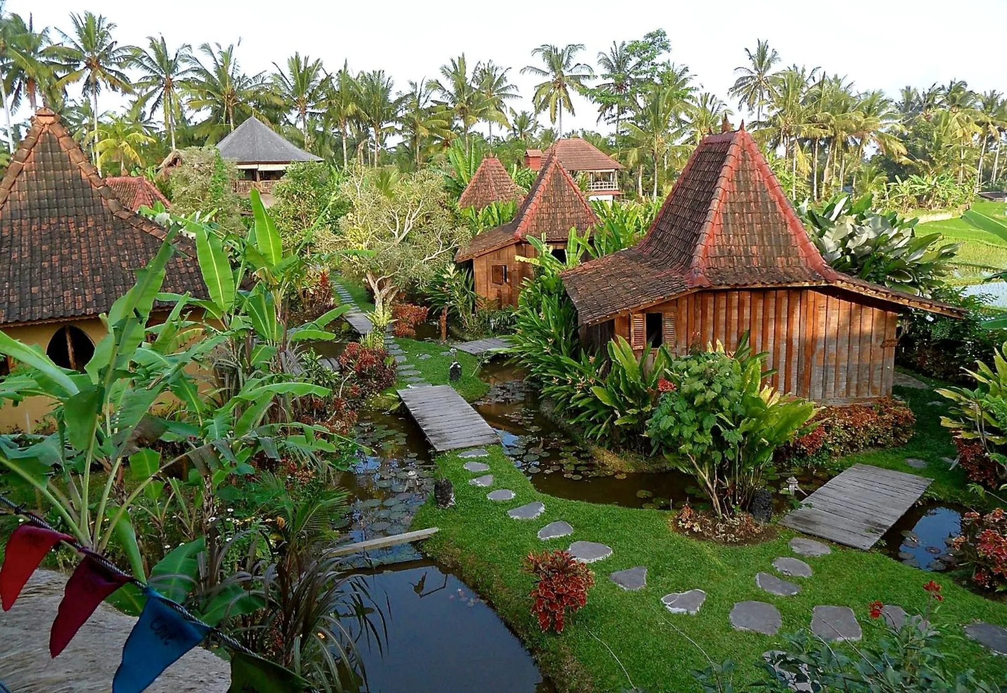 Natural landscape in Dragonfly Village