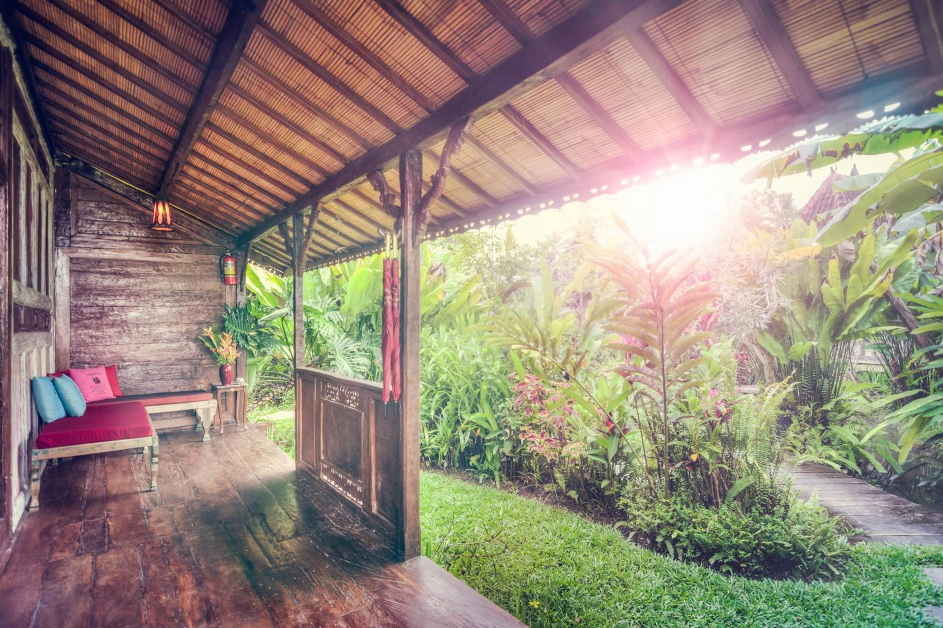 Garden in Dragonfly Village