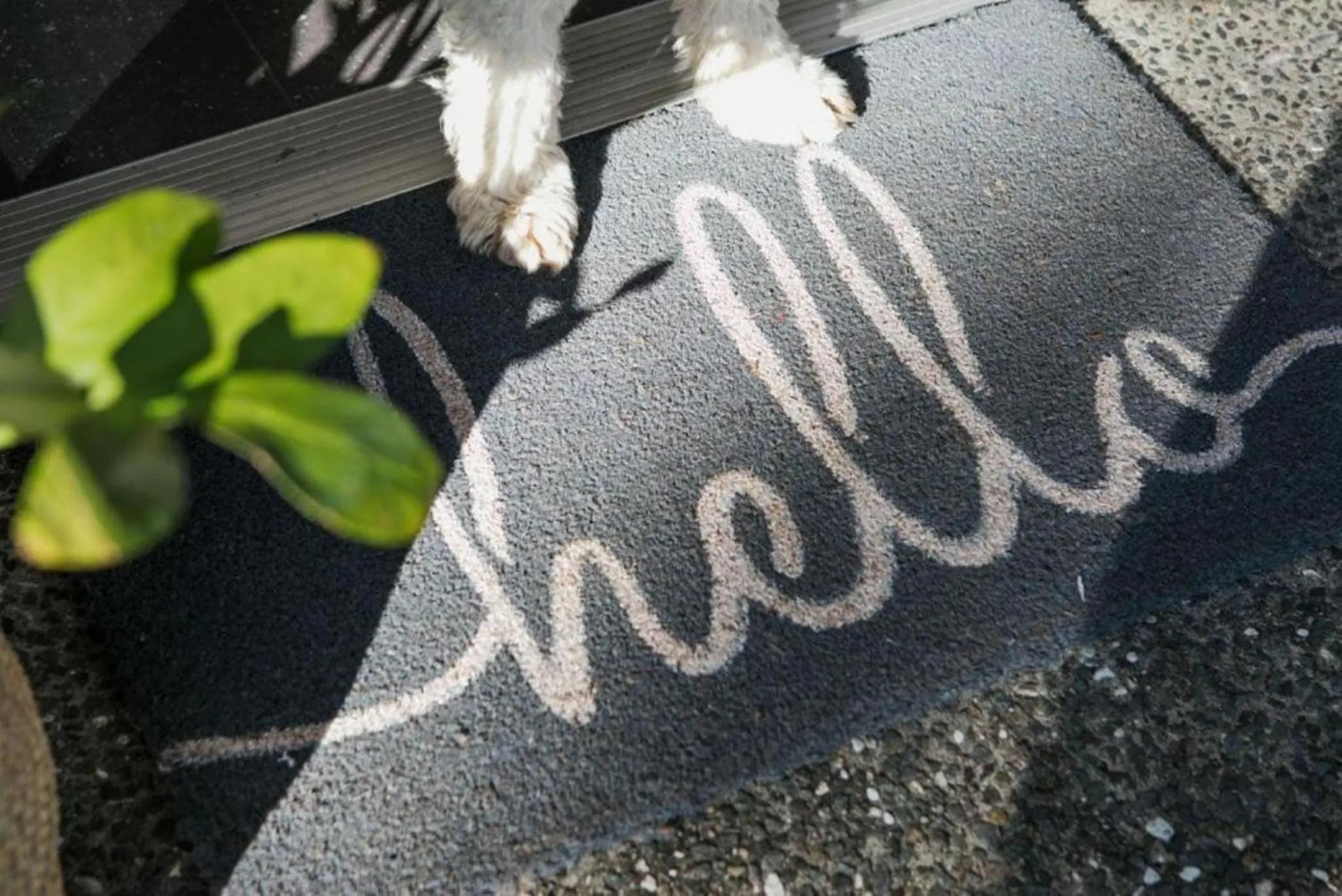 Decorative detail in Noosa Heads Motel