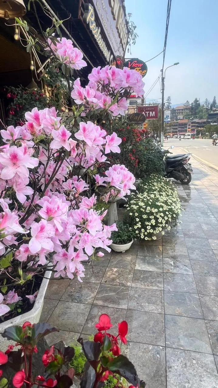 Sapa Lake View Hotel