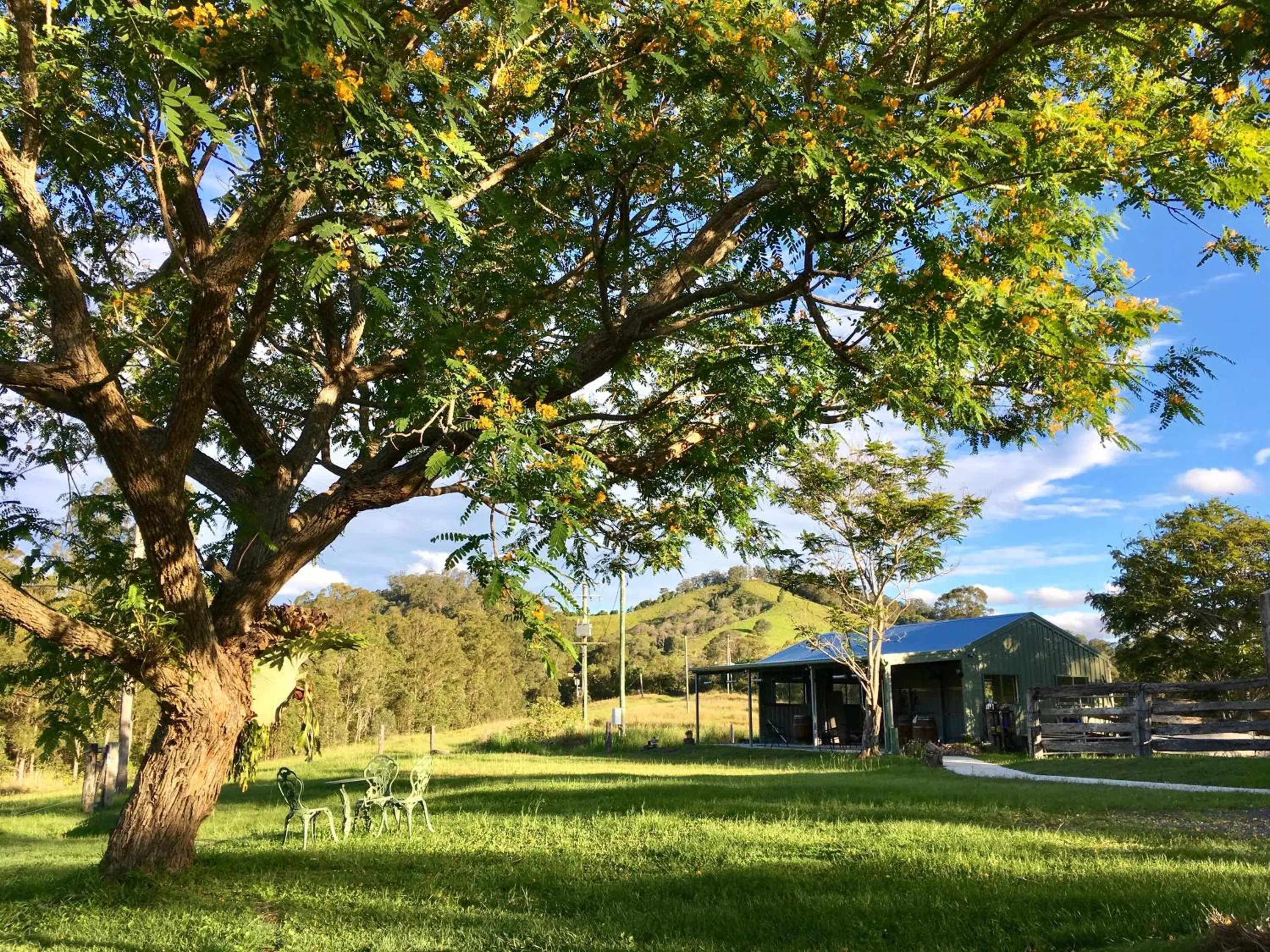 Natural landscape in Amamoor Lodge