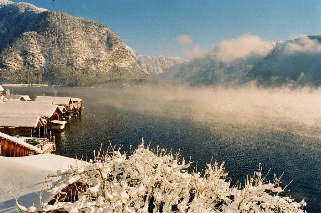 Area and facilities in Bräugasthof Hallstatt