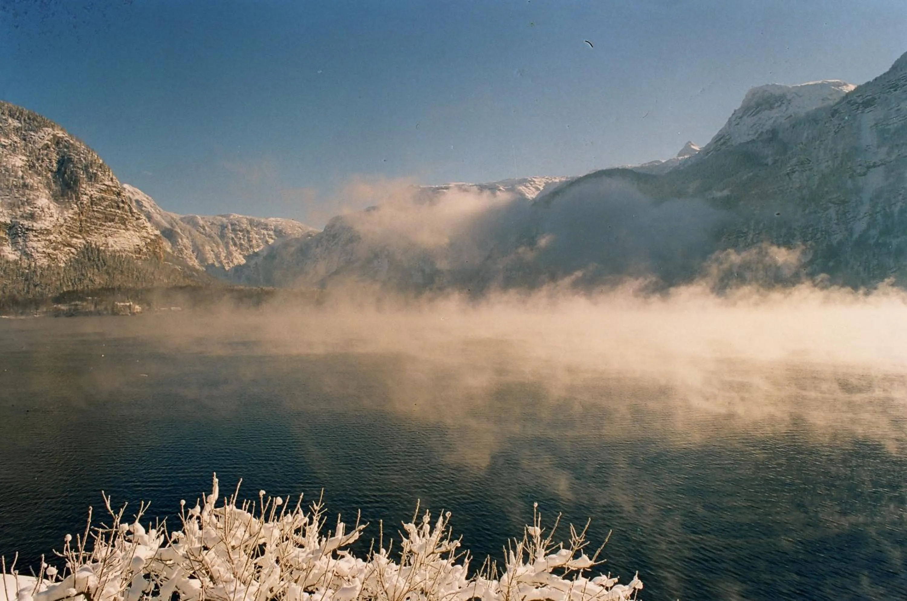 Area and facilities in Bräugasthof Hallstatt